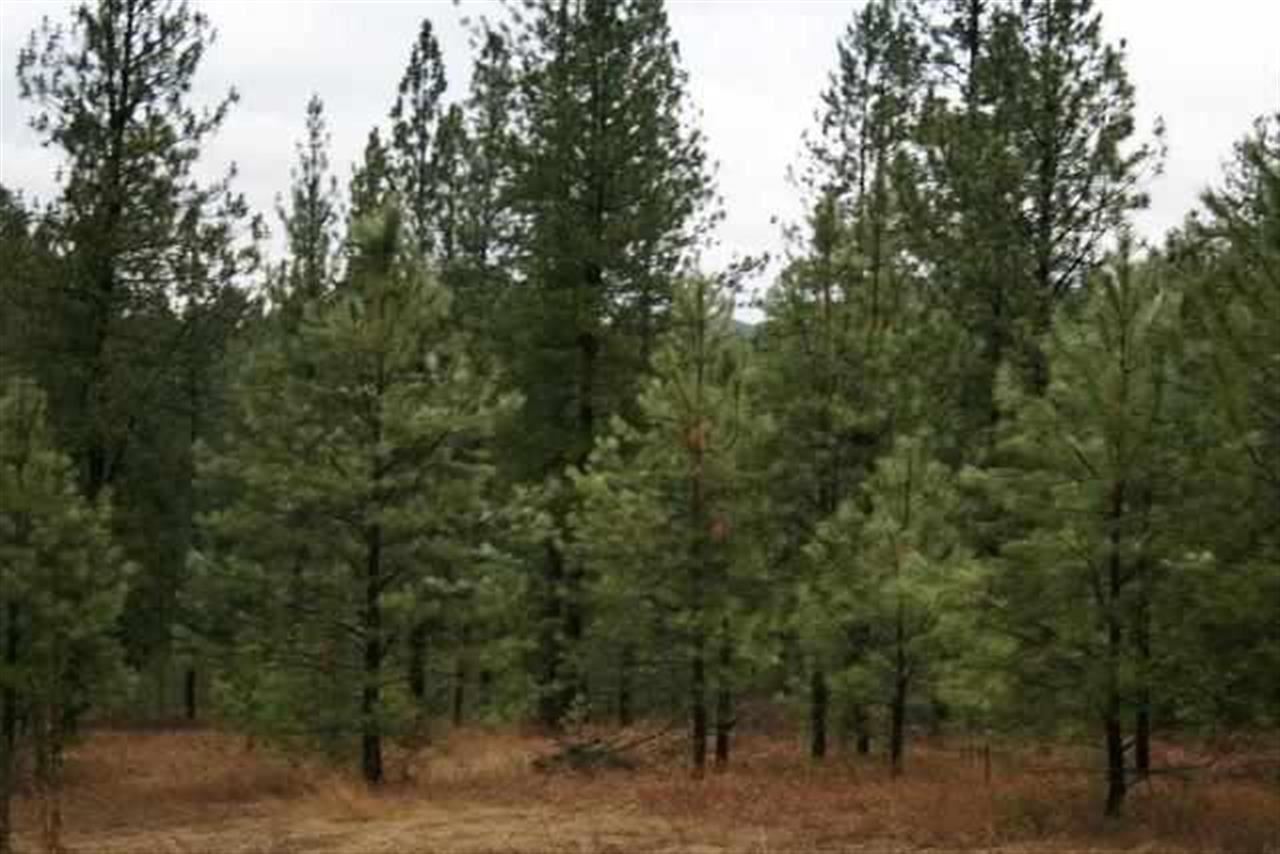 0 Philleo Road Colville, WA 99114 - Photo 1 of 5 Gallery Image 1