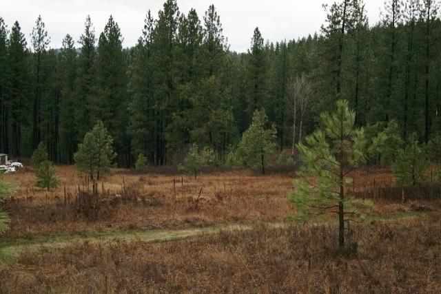 0 Philleo Road Colville, WA 99114 - Photo 3 of 5 Gallery Image 3