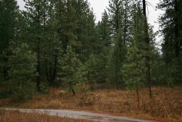 0 Philleo Road Colville, WA 99114 - Photo 4 of 5 Gallery Image 4