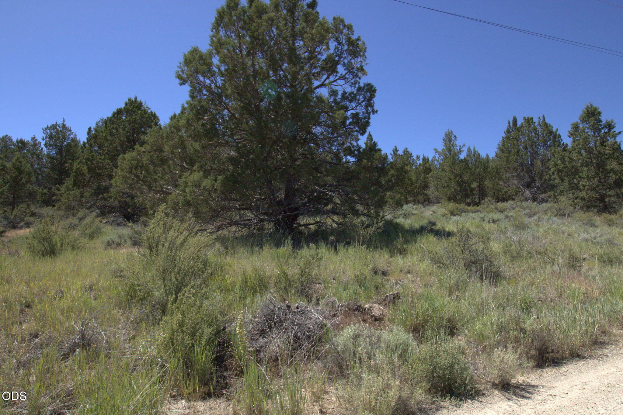 Wasco Street Chiloquin, OR 97624 - Photo 3 of 5