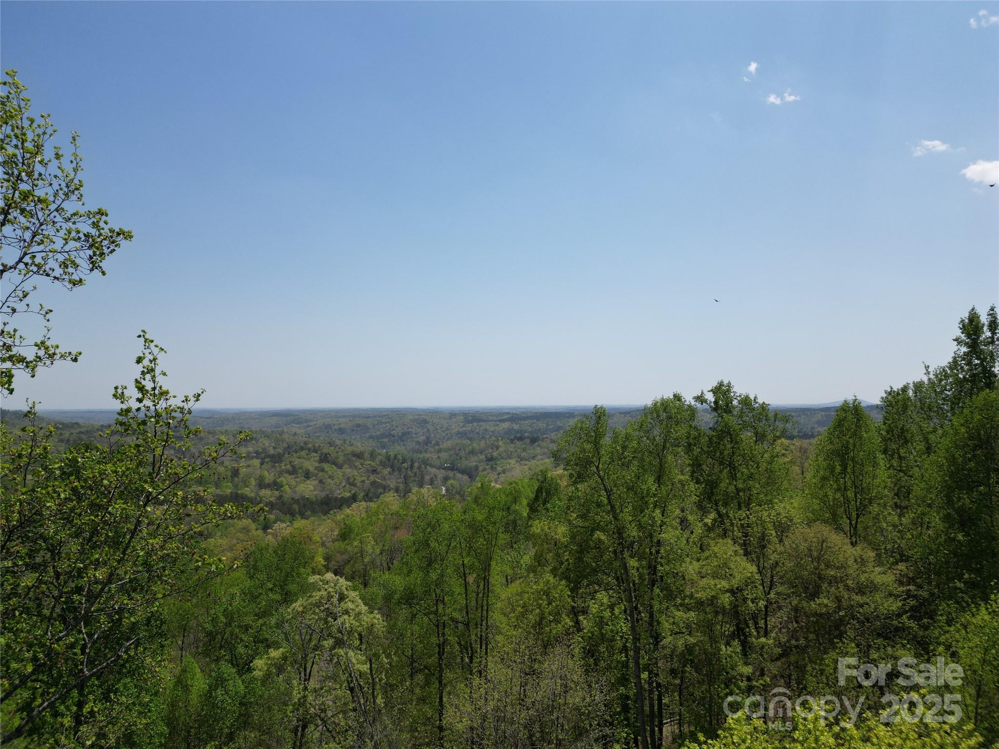 Lot 16 High Rock Ridge Lake Lure, NC 28746 - Photo 11 of 21 a view of a green field with lots of bushes