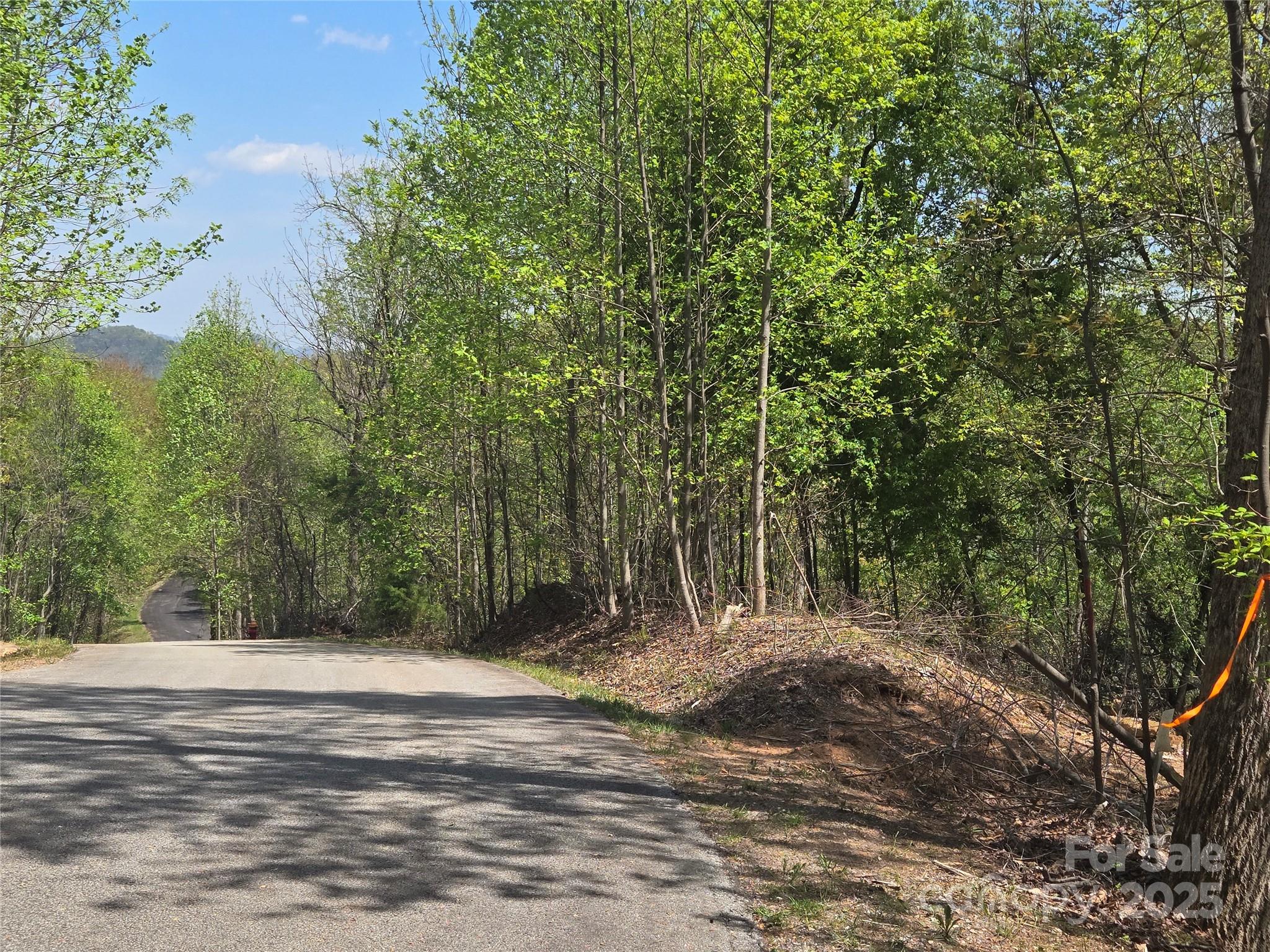 Lot 16 High Rock Ridge Lake Lure, NC 28746 - Photo 2 of 21 a view of outdoor space and yard