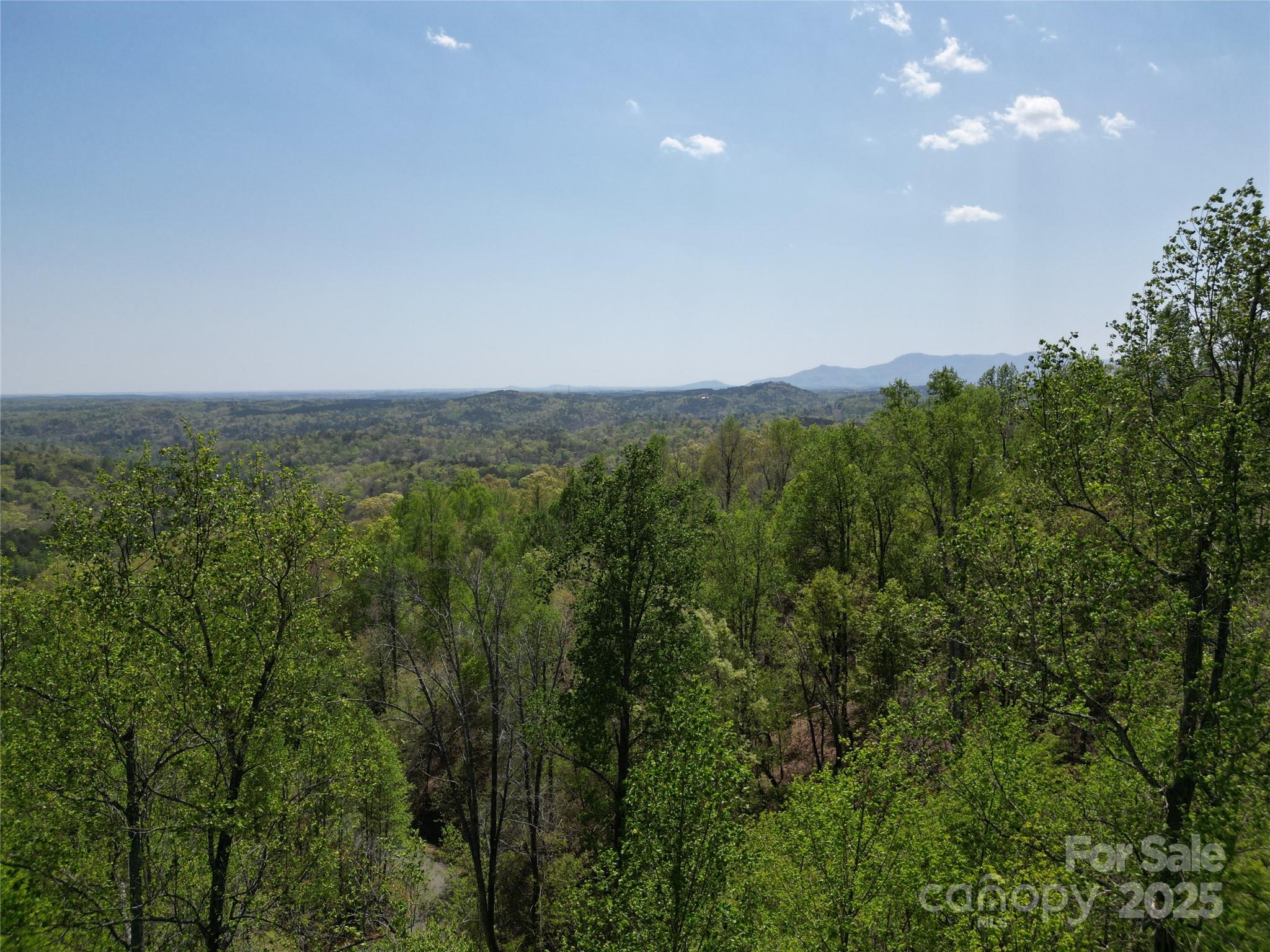 Lot 16 High Rock Ridge Lake Lure, NC 28746 - Photo 4 of 21 a view of a green field with lots of bushes