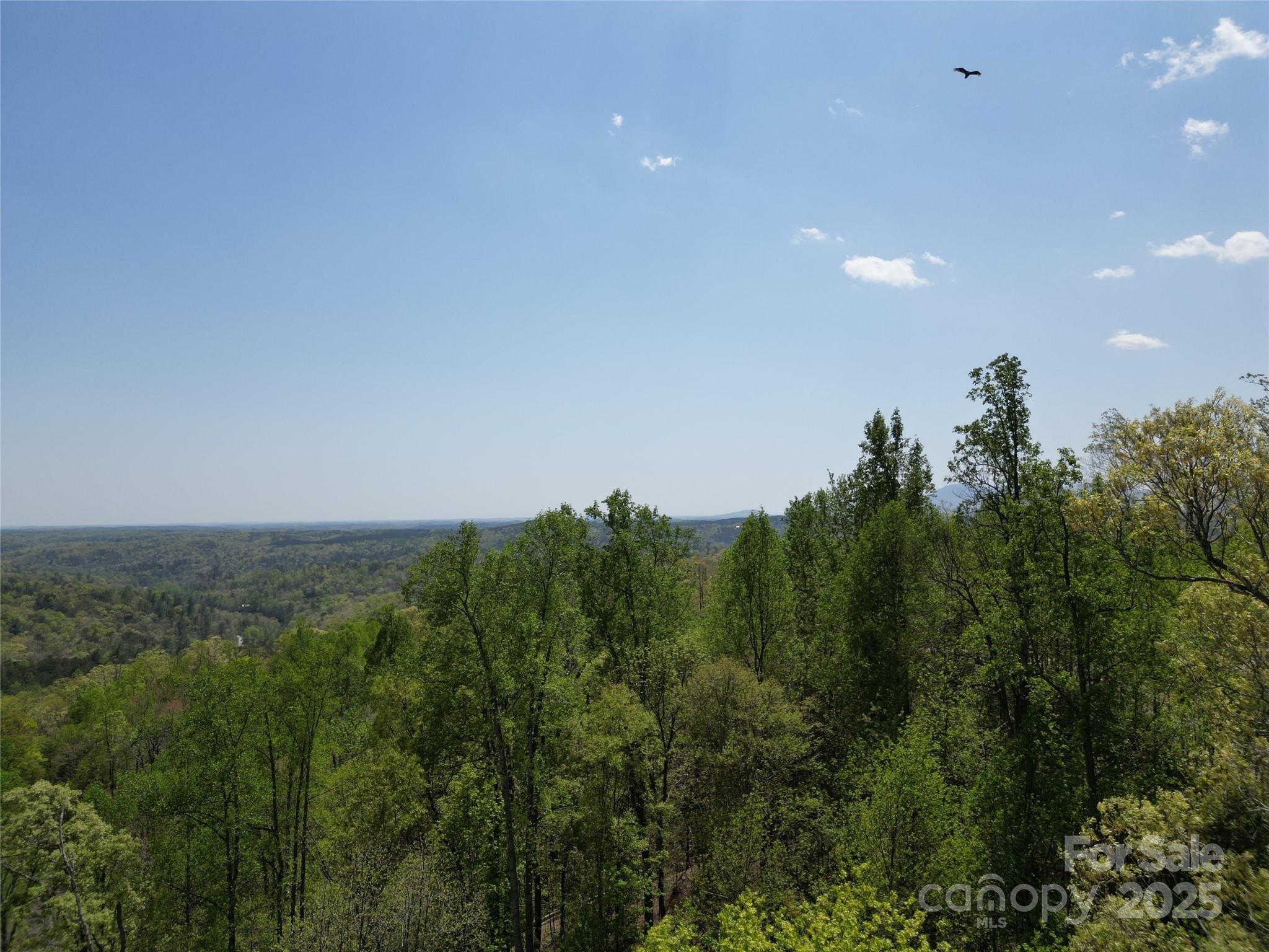 Lot 16 High Rock Ridge Lake Lure, NC 28746 - Photo 8 of 21 a view of a green field