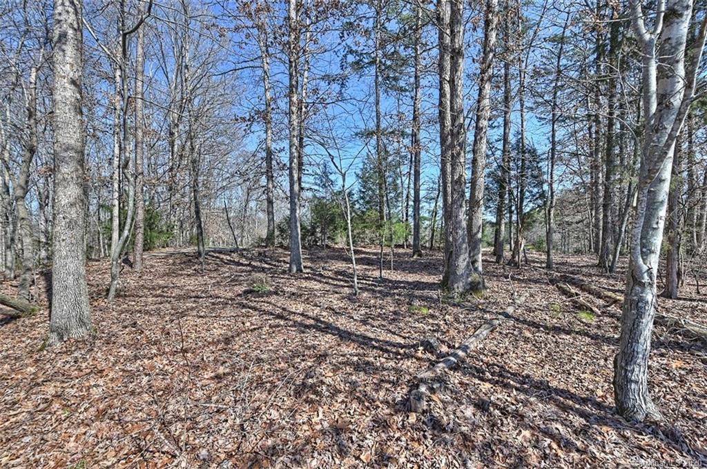 301 Horton Grove Road Fort Mill, SC 29715 - Photo 43 of 46 Gallery Image 43