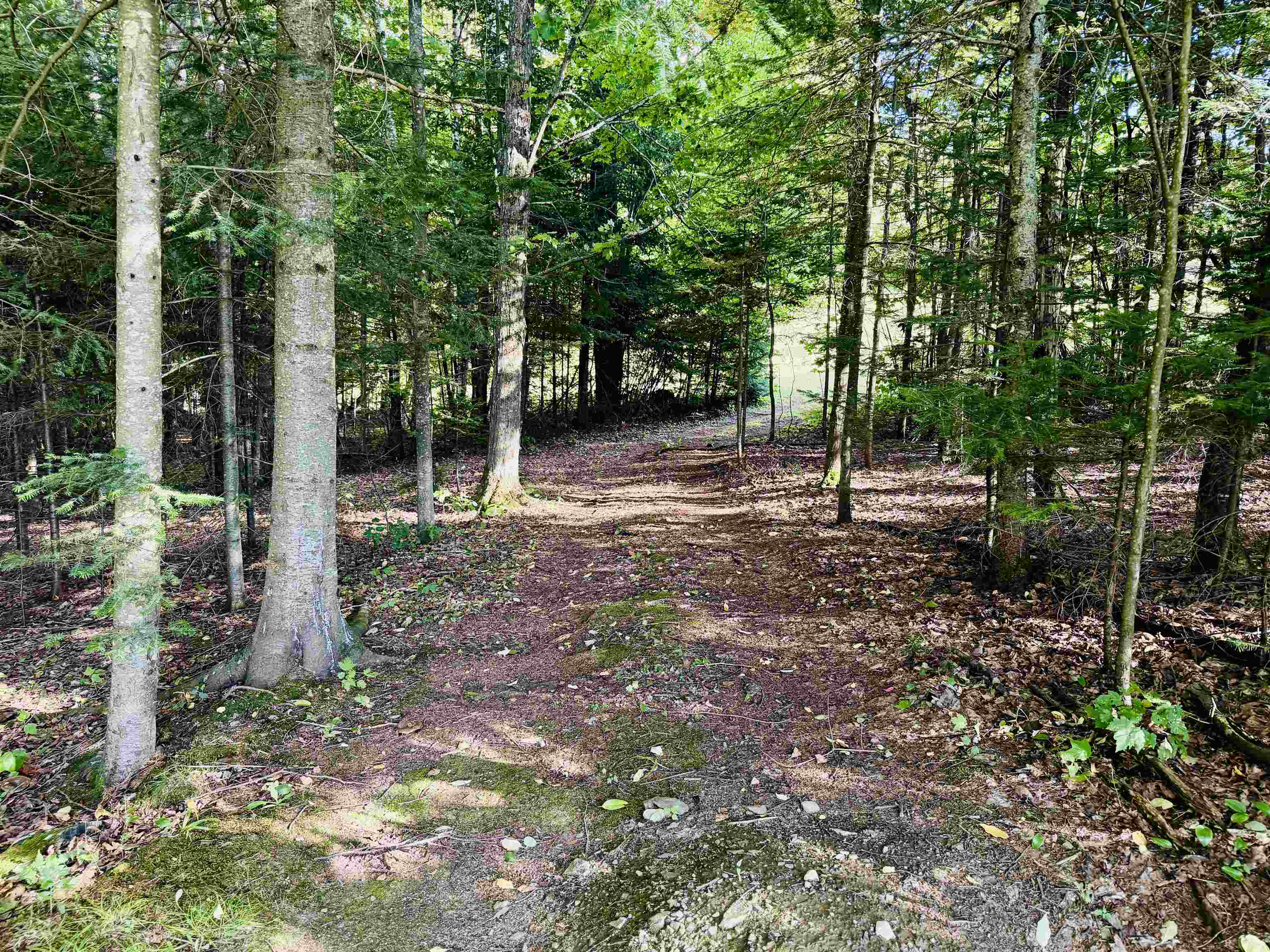 102 Perry Road Columbia, NH 03576 - Photo 10 of 60 Gallery Image 10