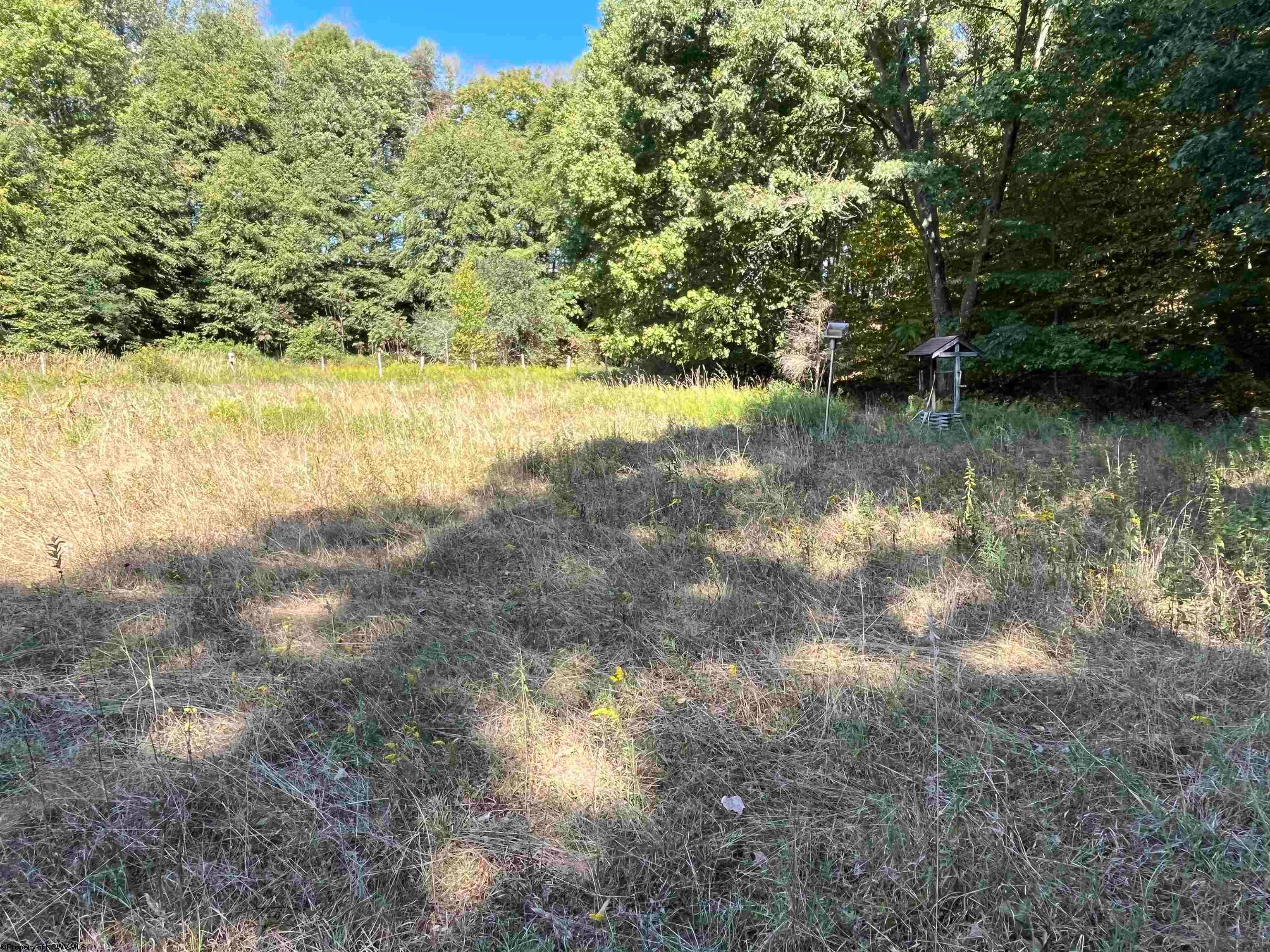 741 Ralph Livengood Road Bruceton Mills, WV 26525 - Photo 2 of 8 Gallery Image 2