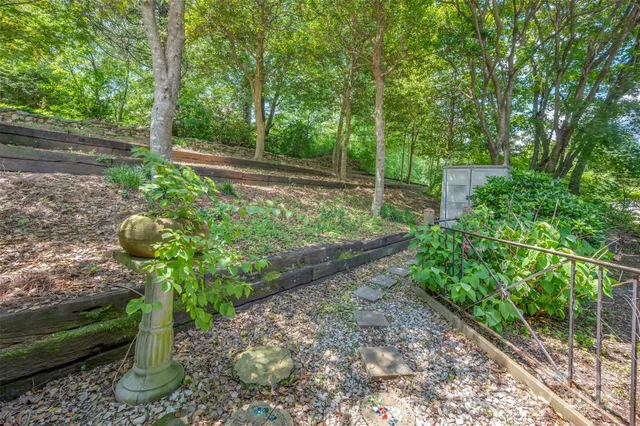 a backyard of a house with lots of green space
