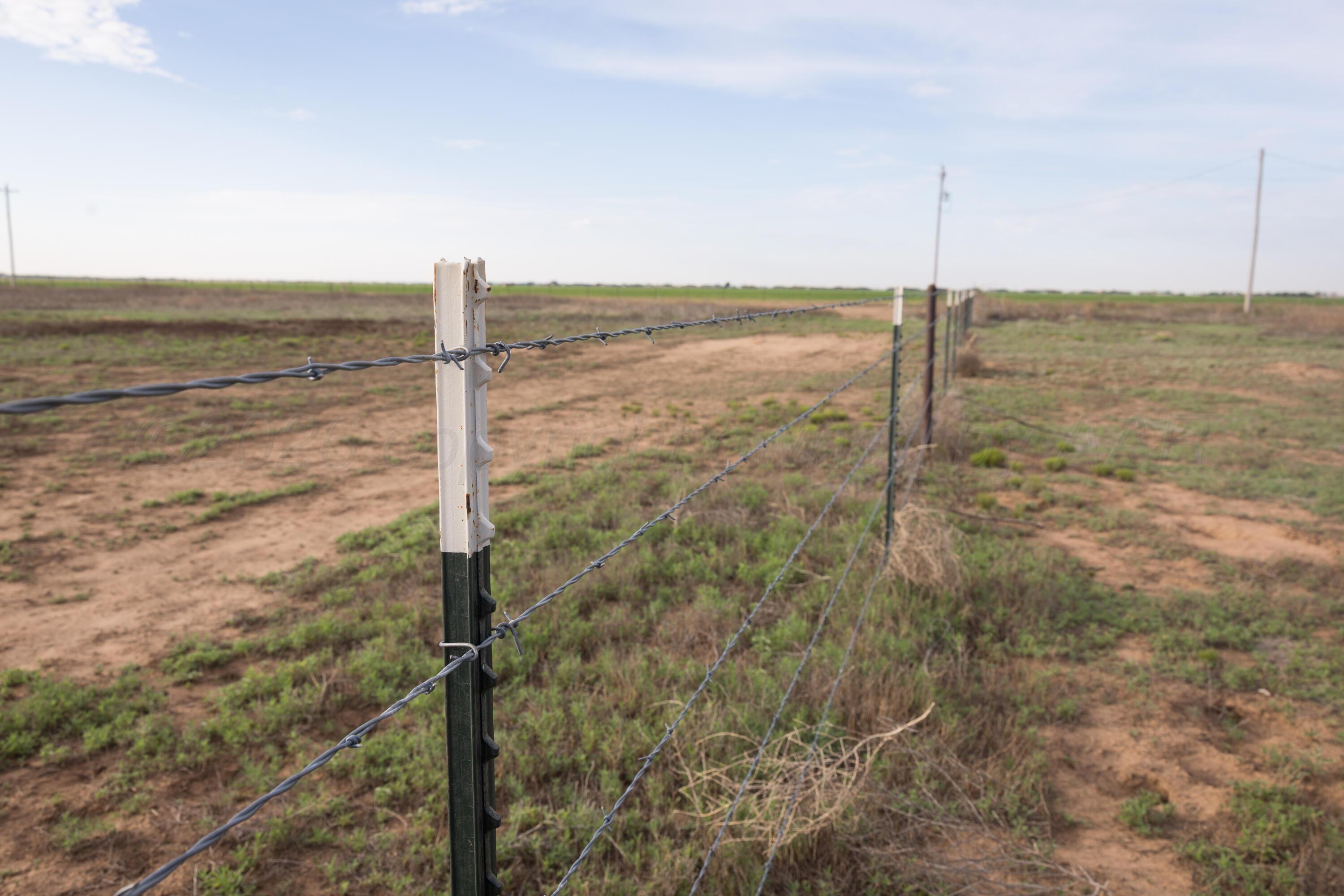 7700 Hope Road Amarillo, TX 79119 - Photo 11 of 42 7700-hope-rd-amarillo-tx-35