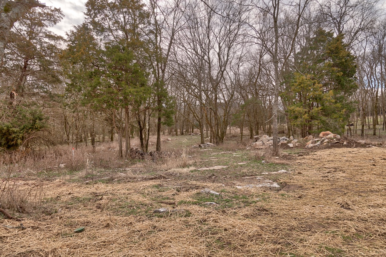 1190 Greenvale Road Milton, TN 37118 - Photo 18 of 21 a view of outdoor space with trees