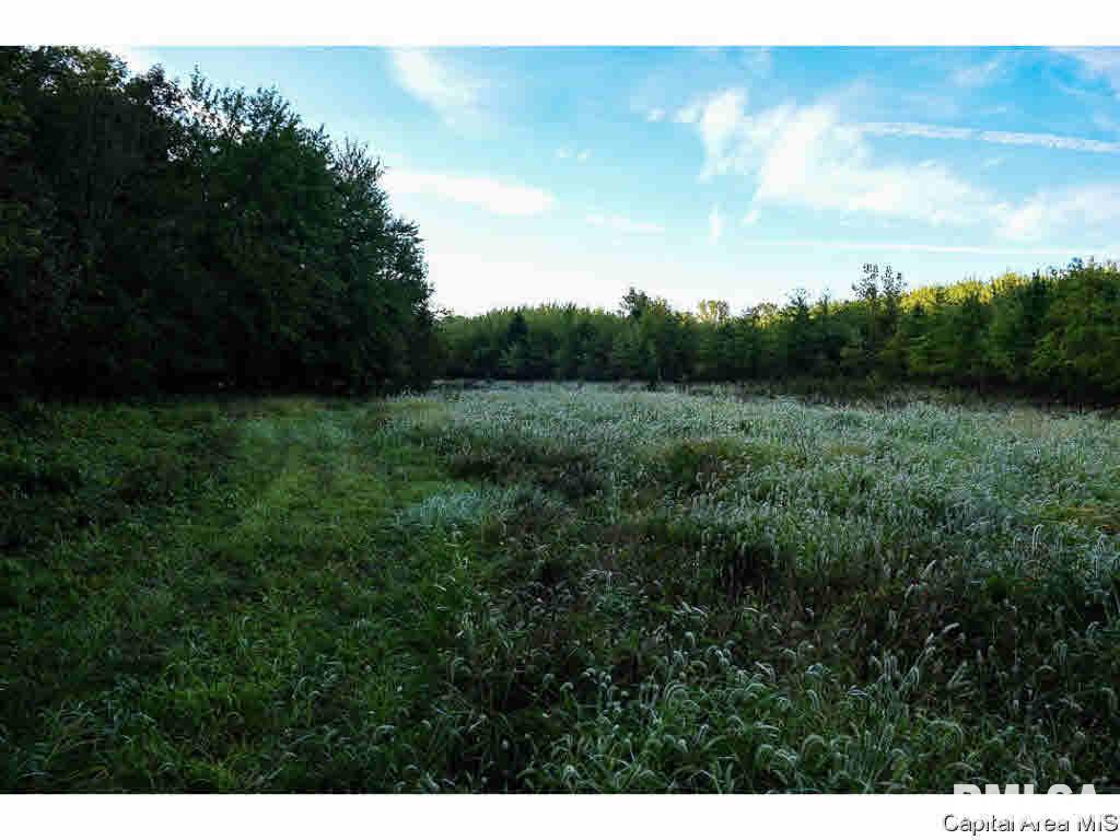 0 Unnamed Road Springfield, IL 62712 - Photo 12 of 35