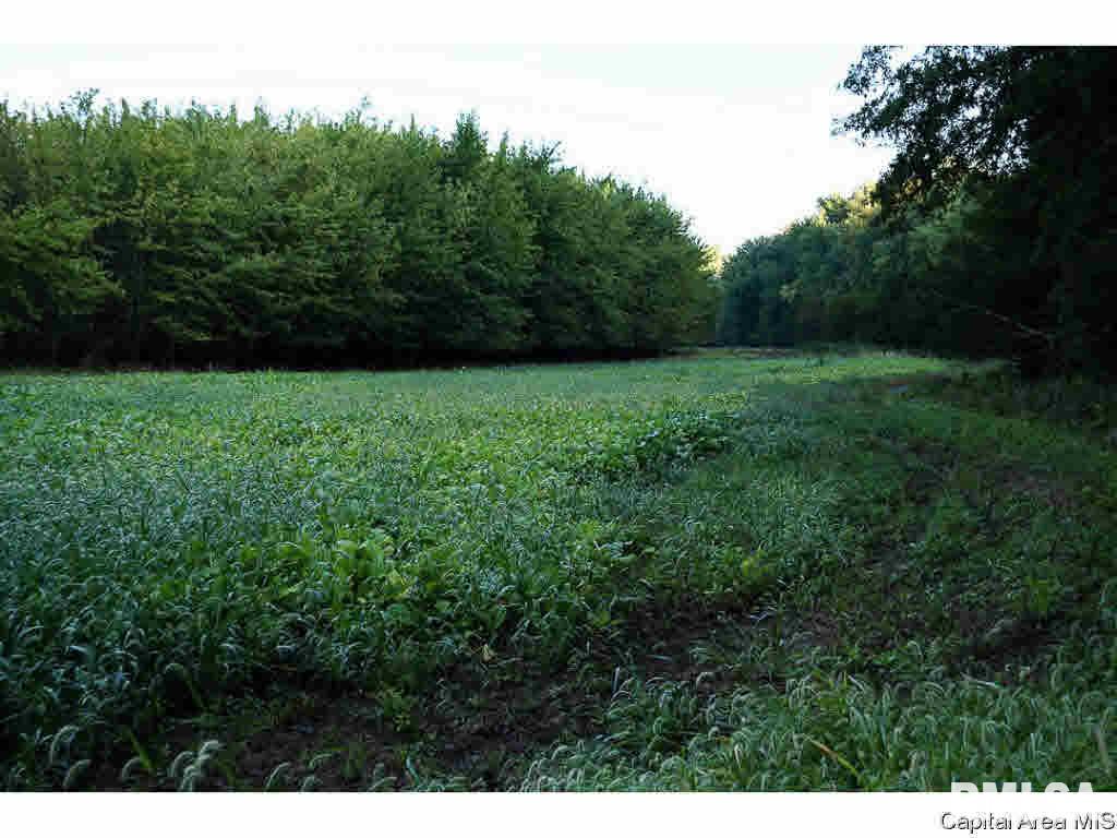 0 Unnamed Road Springfield, IL 62712 - Photo 13 of 35