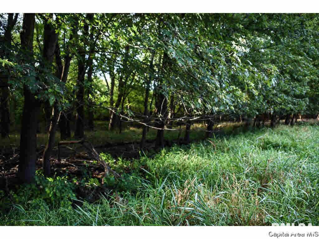 0 Unnamed Road Springfield, IL 62712 - Photo 22 of 35