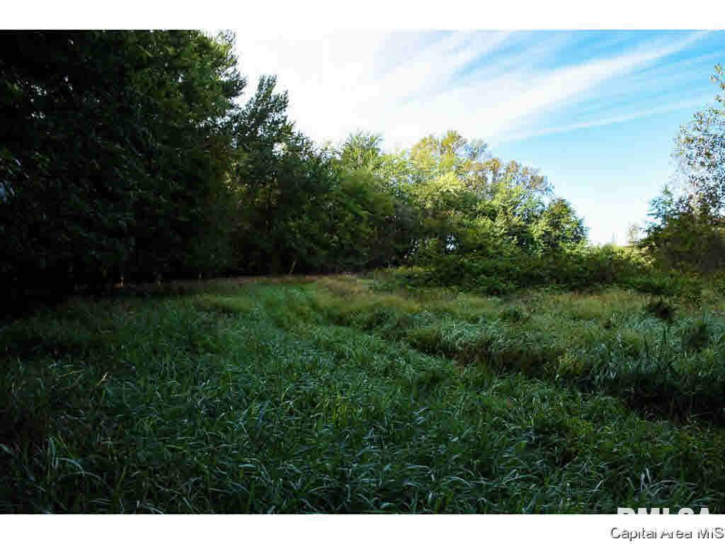 0 Unnamed Road Springfield, IL 62712 - Photo 23 of 35