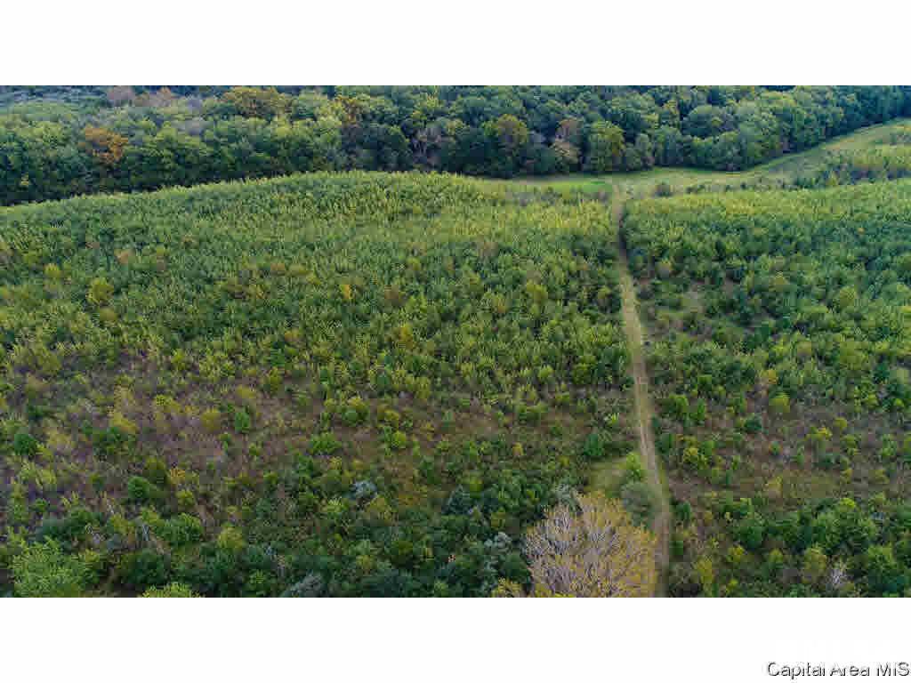 0 Unnamed Road Springfield, IL 62712 - Photo 3 of 35