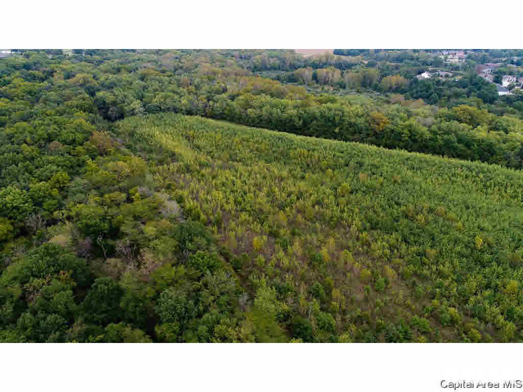 0 Unnamed Road Springfield, IL 62712 - Photo 4 of 35