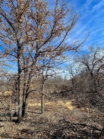 a view of a yard with a mountain