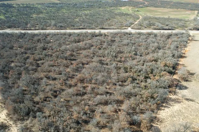 a view of a dry yard with wooden floor