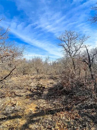 a view of a large yard