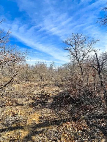 a view of a large yard