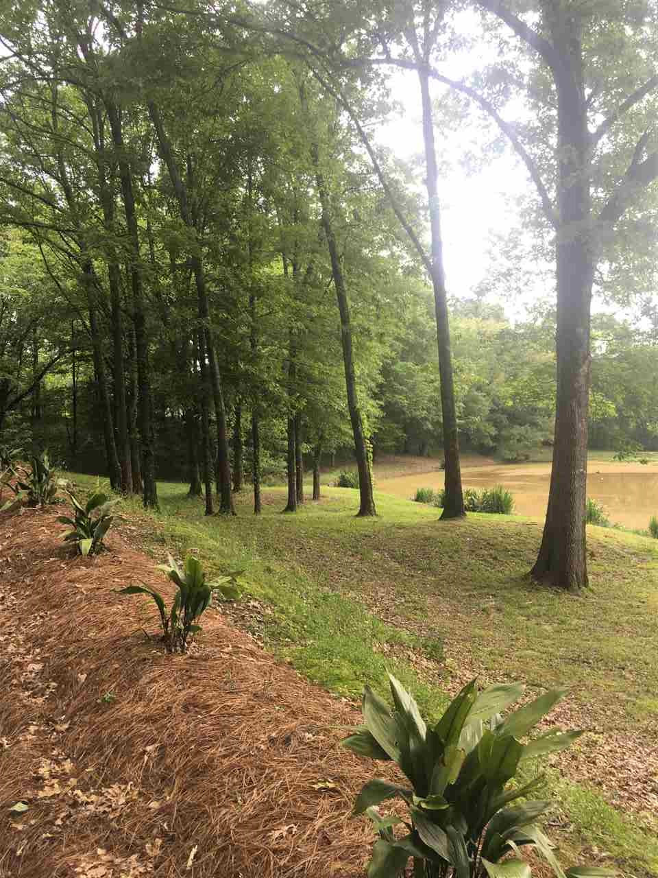 1426 Davis Road Bolton, MS 39041 - Photo 18 of 36 Photo 18