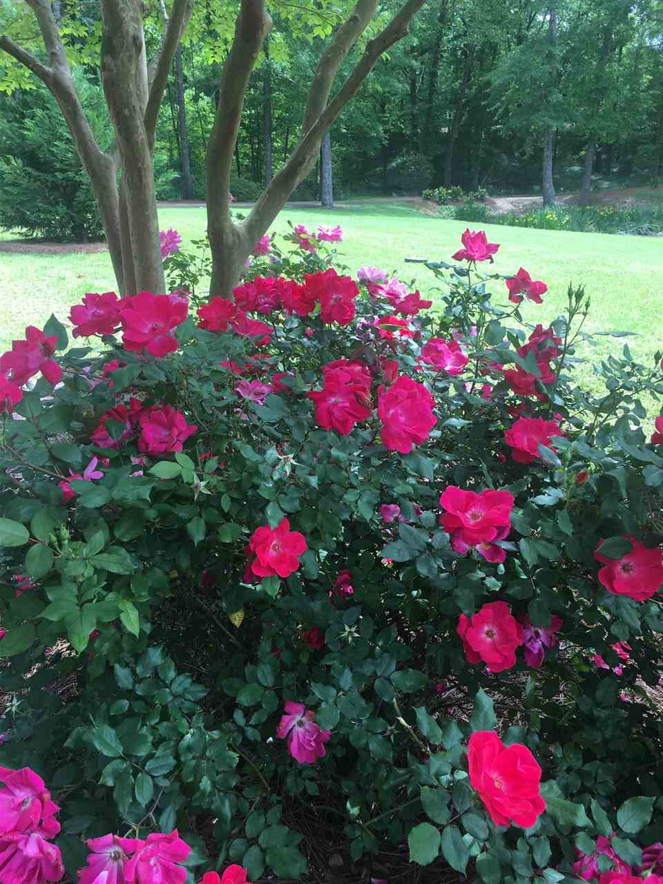 1426 Davis Road Bolton, MS 39041 - Photo 19 of 36 Photo 19