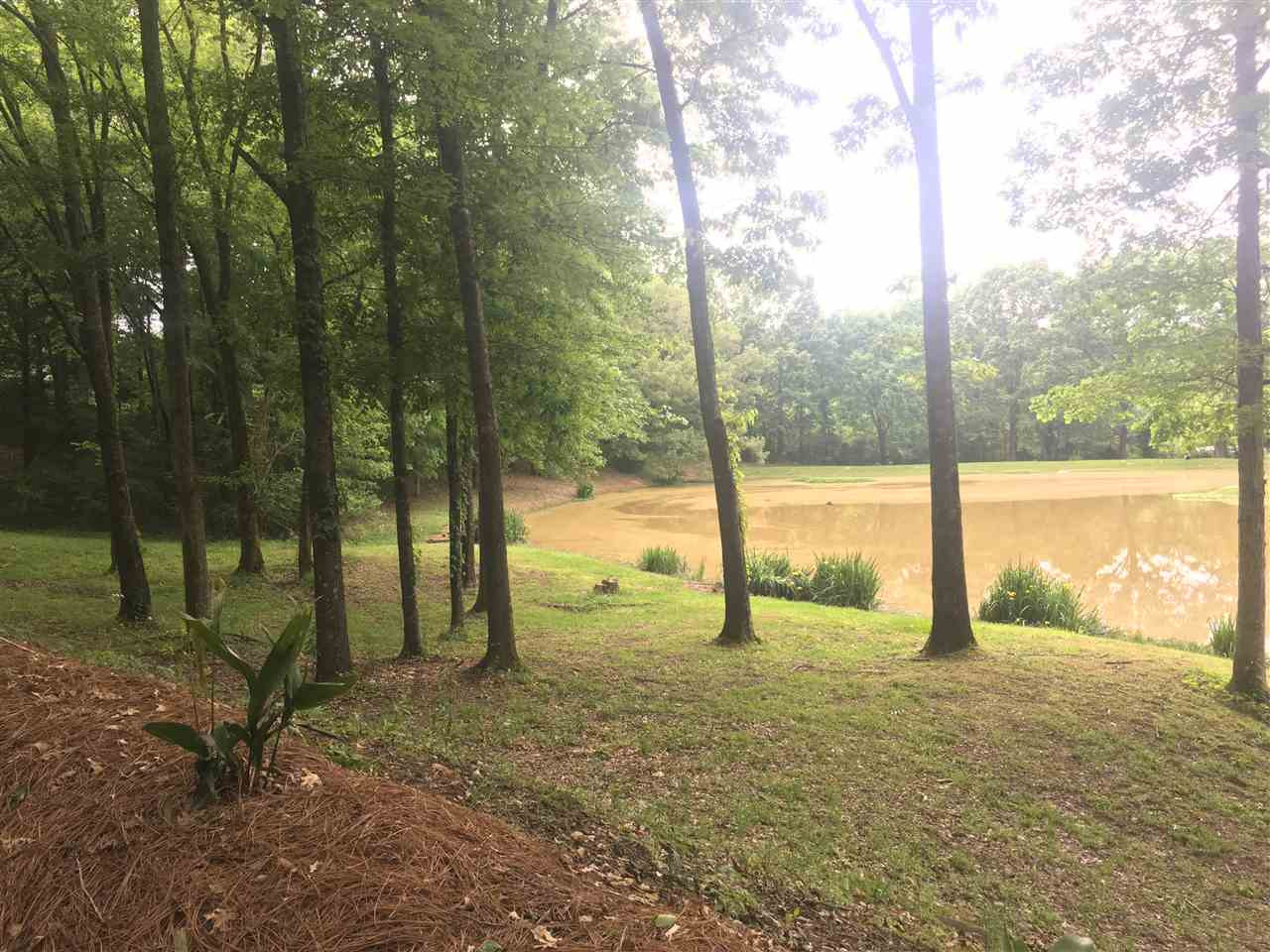 1426 Davis Road Bolton, MS 39041 - Photo 5 of 36 Photo 5