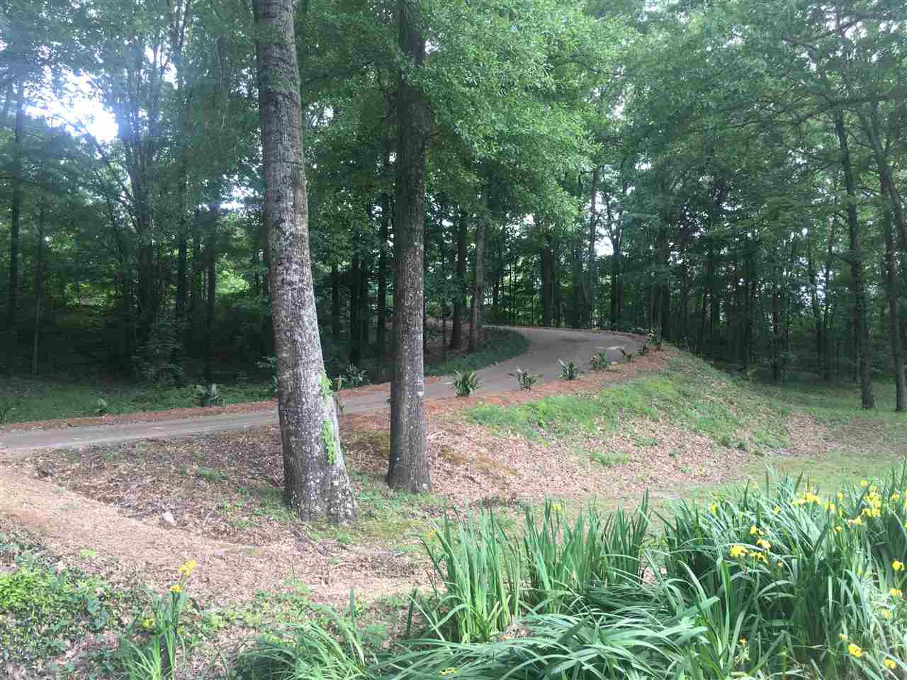 1426 Davis Road Bolton, MS 39041 - Photo 6 of 36 Photo 6