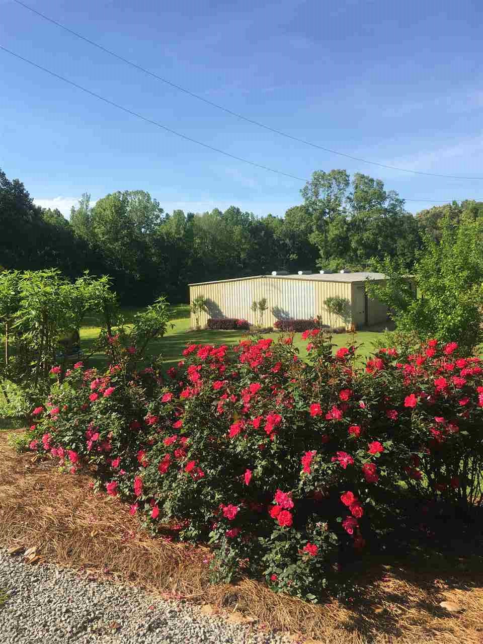 1426 Davis Road Bolton, MS 39041 - Photo 8 of 36 Photo 8