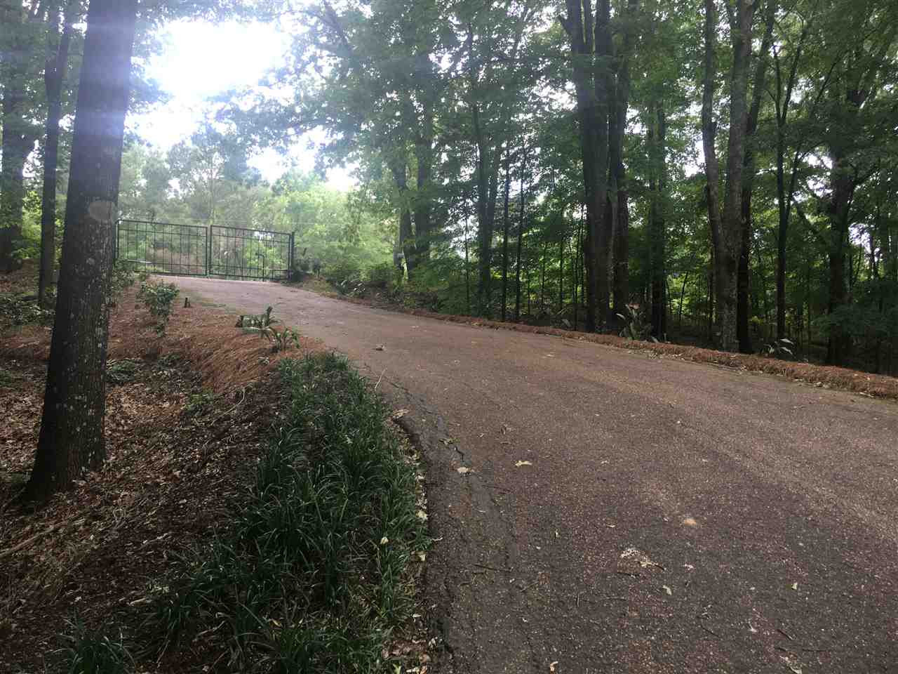 1426 Davis Road Bolton, MS 39041 - Photo 10 of 36 Photo 10