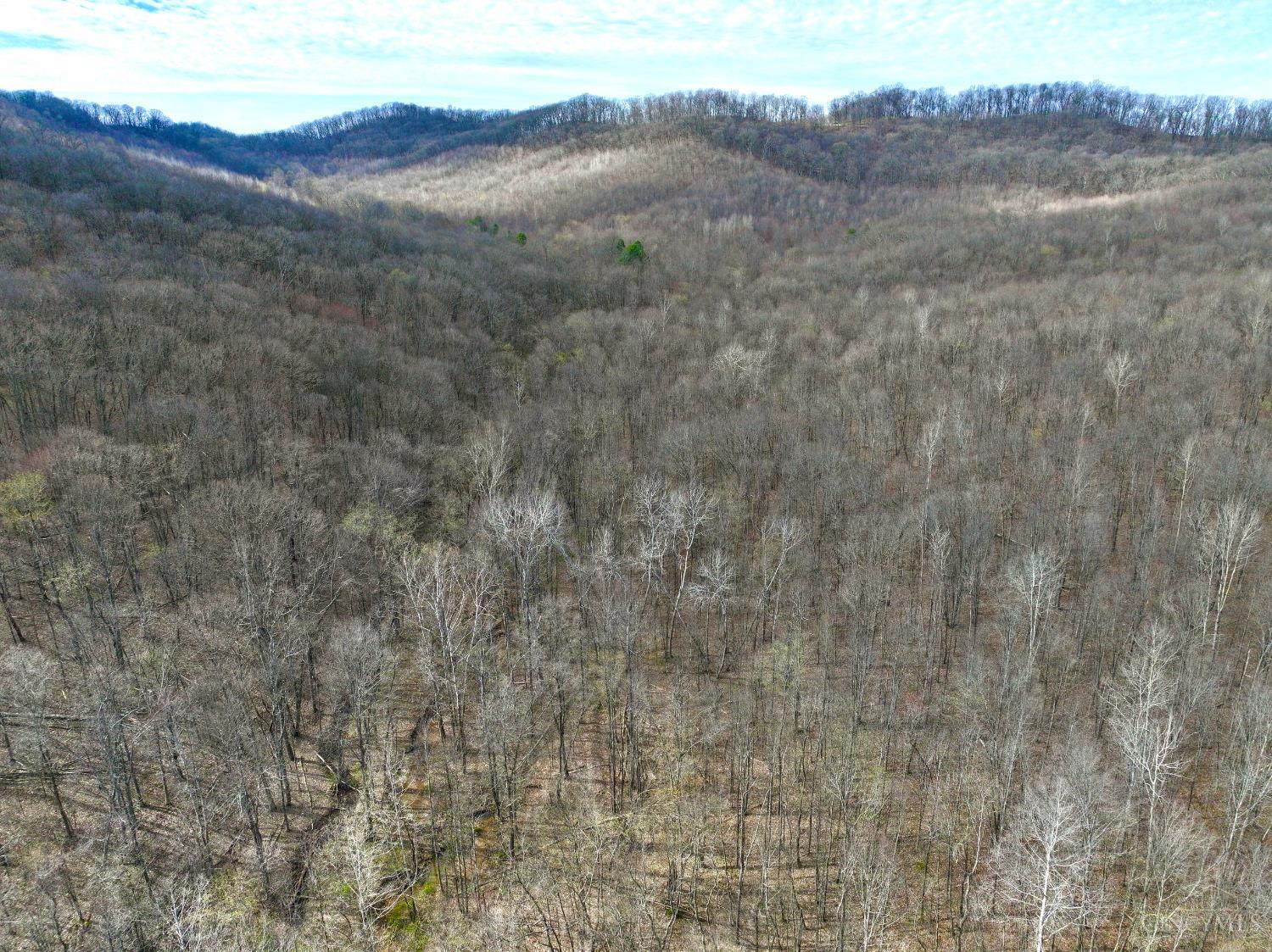 0 Fyffe Hollow Road Chillicothe, OH 45601 - Photo 35 of 96