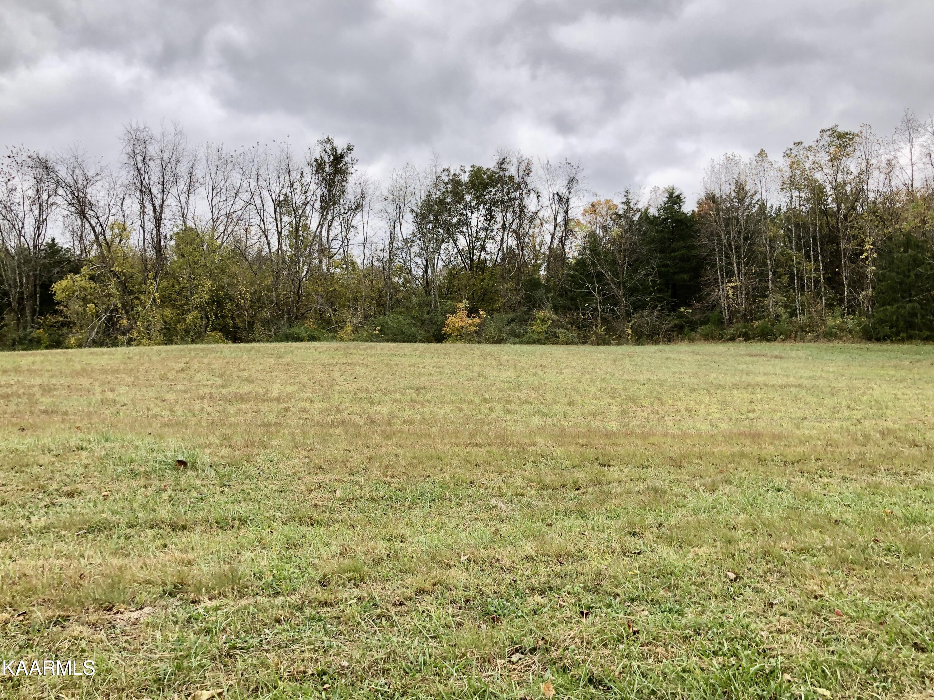 1900 Thomastown Road Mascot, TN 37806 - Photo 11 of 27 IMG_9748