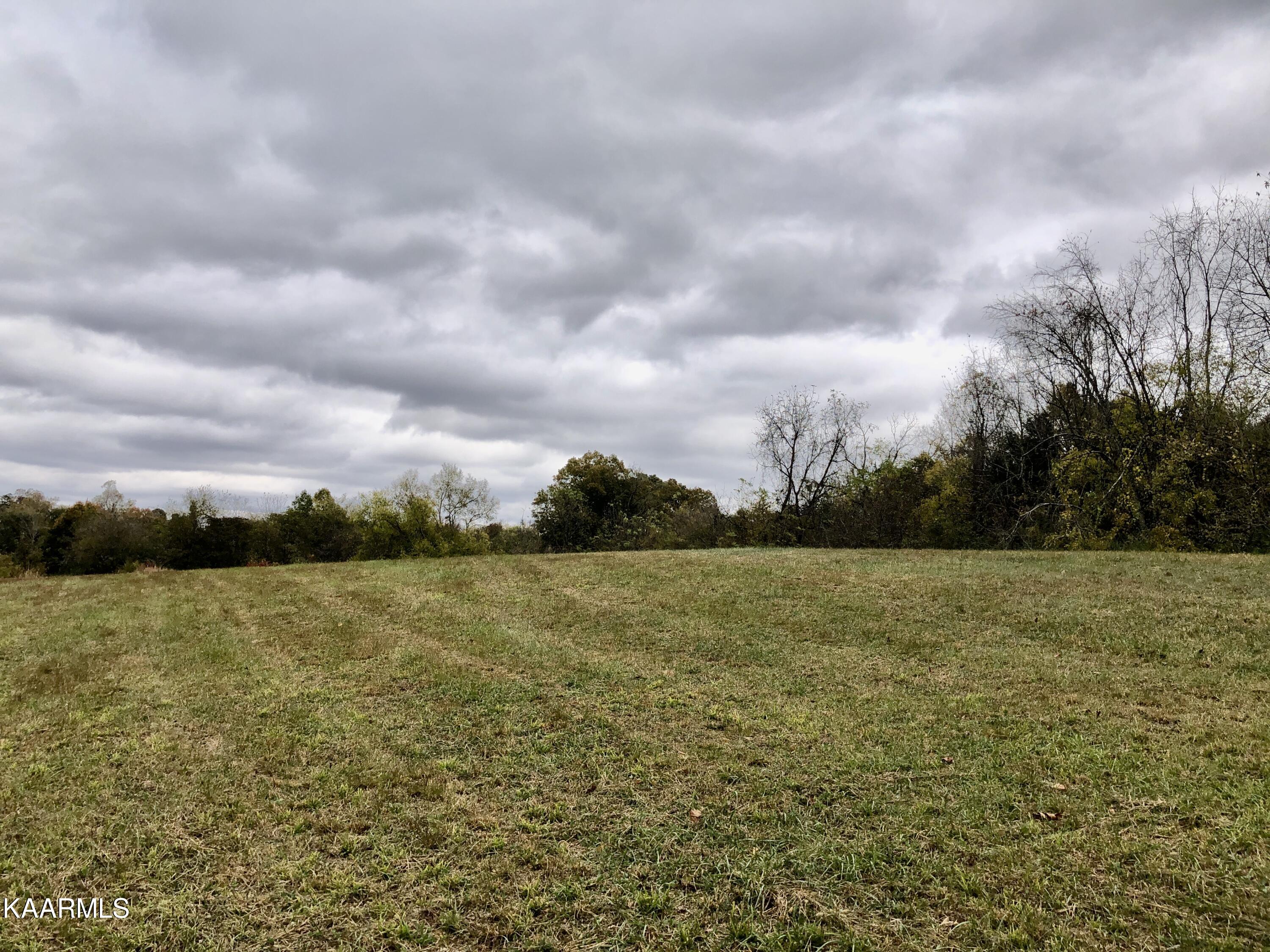 1900 Thomastown Road Mascot, TN 37806 - Photo 12 of 27 IMG_9749