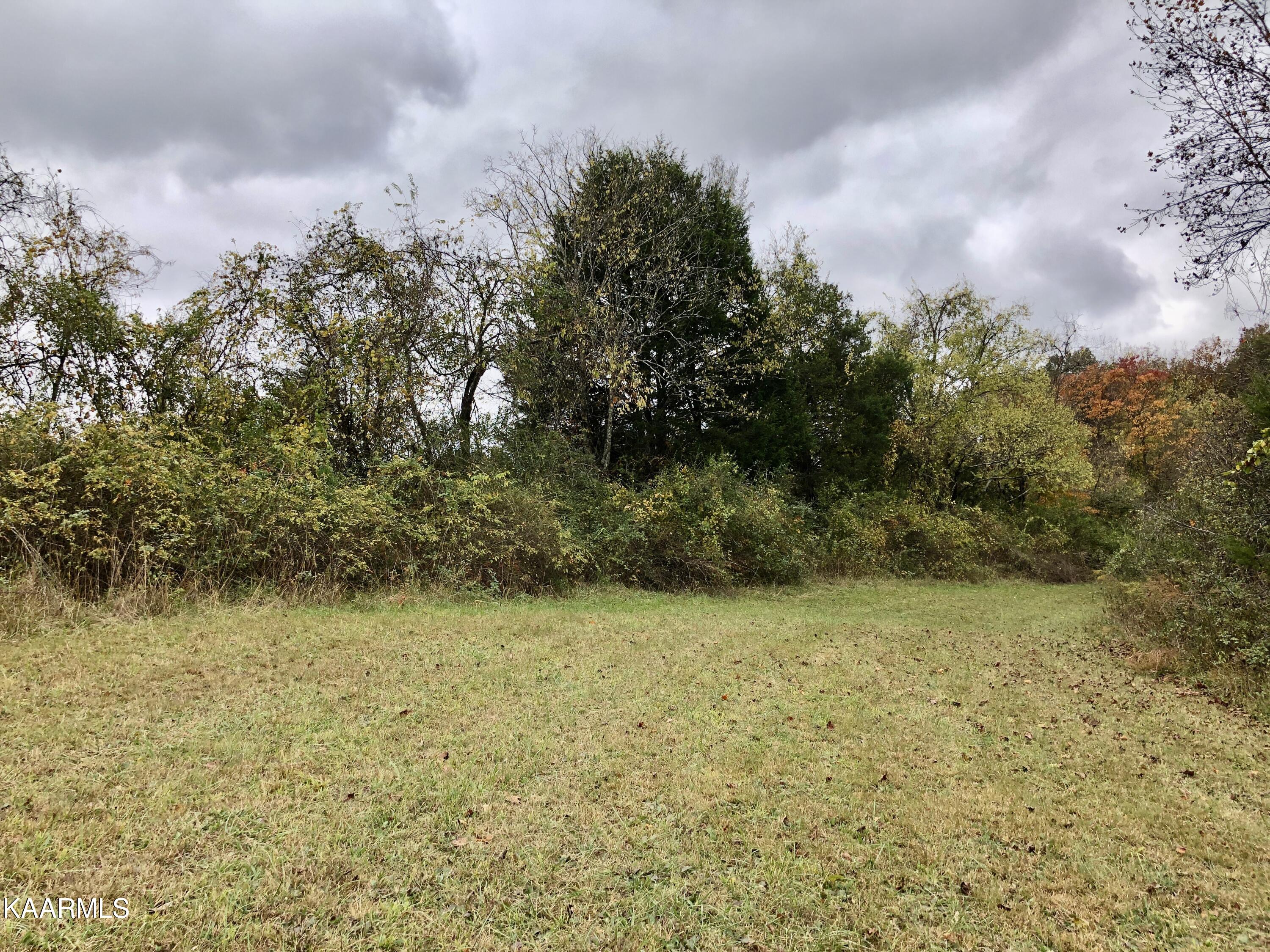 1900 Thomastown Road Mascot, TN 37806 - Photo 13 of 27 IMG_9751