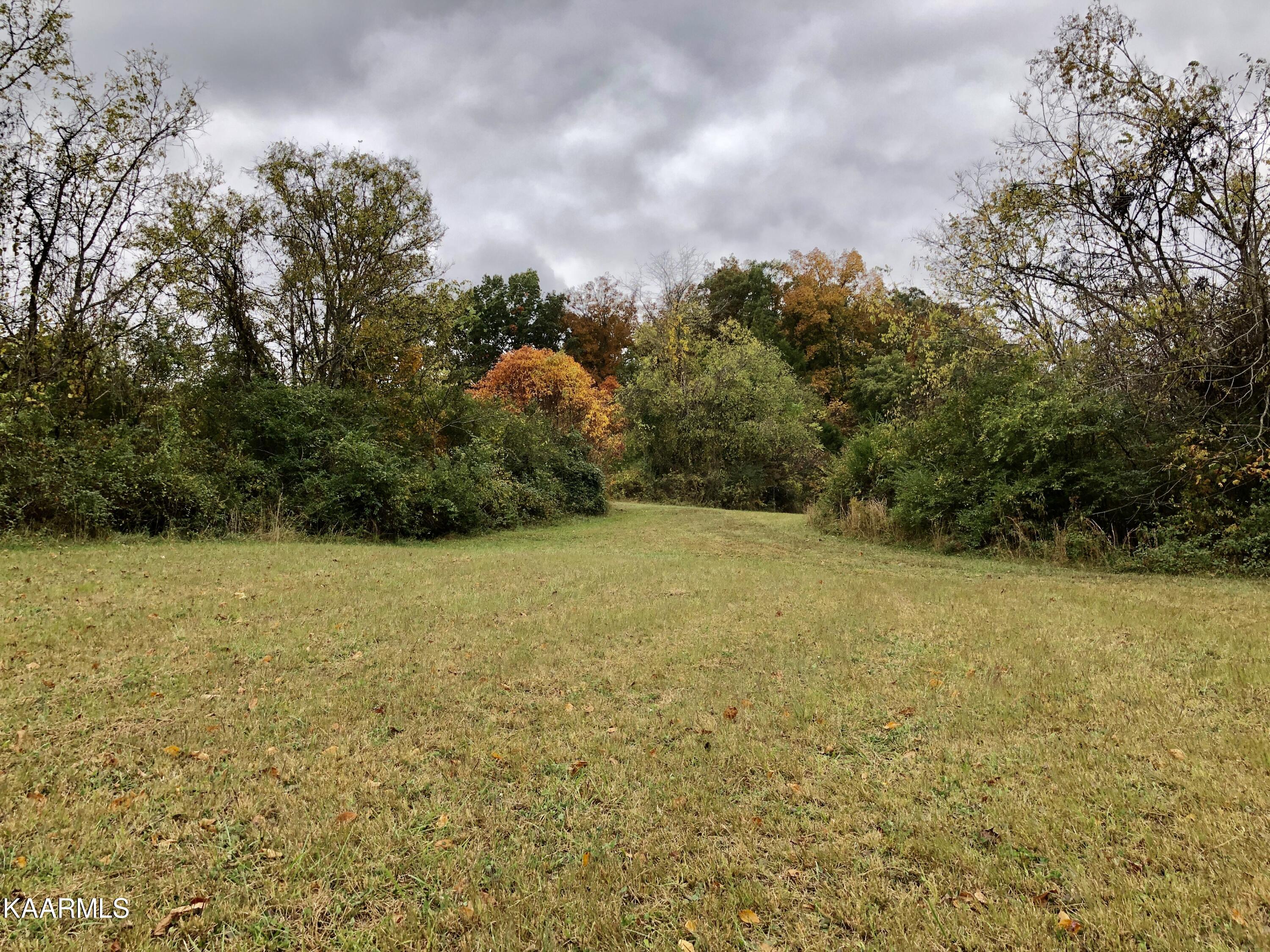 1900 Thomastown Road Mascot, TN 37806 - Photo 14 of 27 IMG_9752