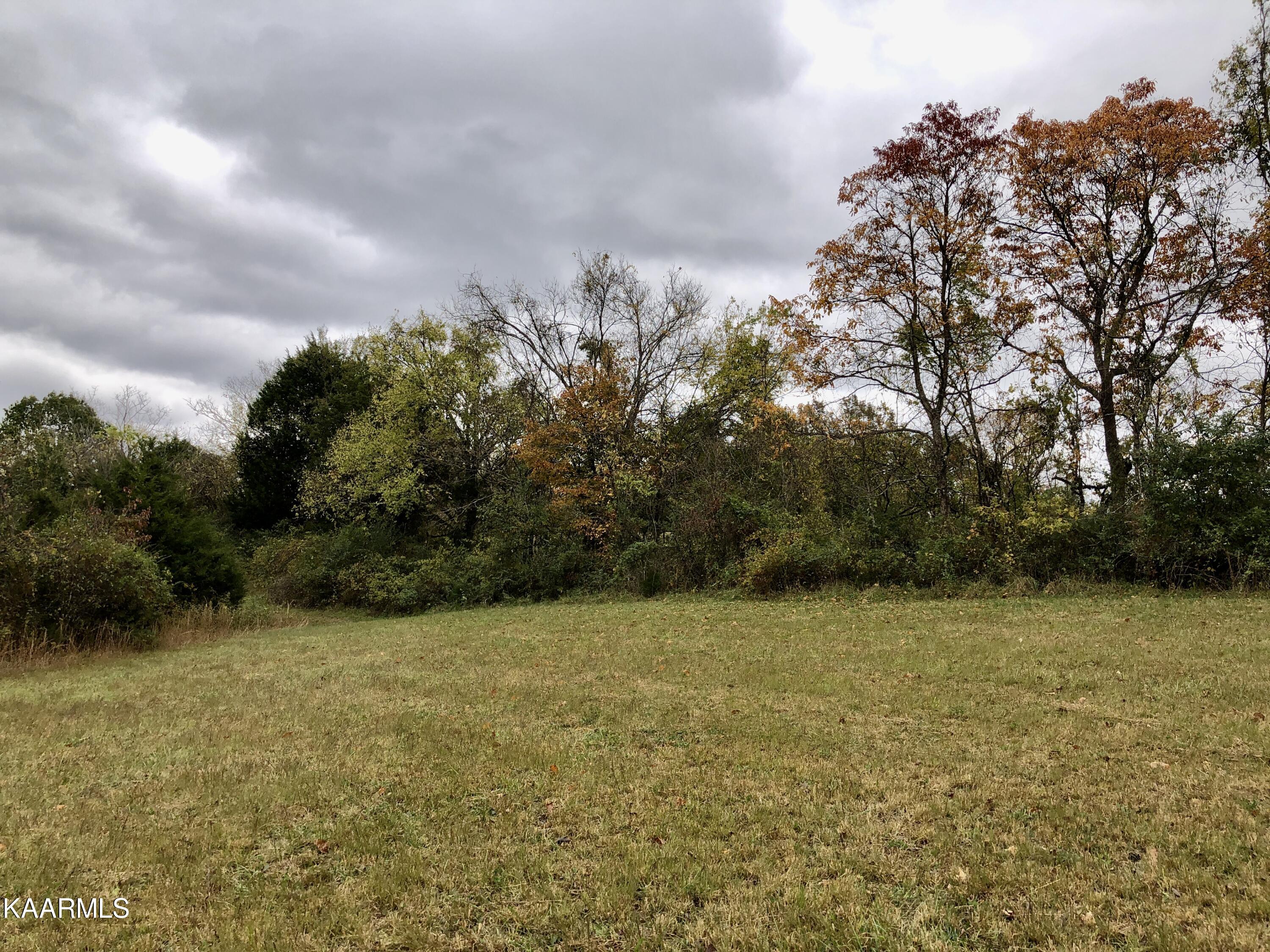 1900 Thomastown Road Mascot, TN 37806 - Photo 15 of 27 IMG_9753