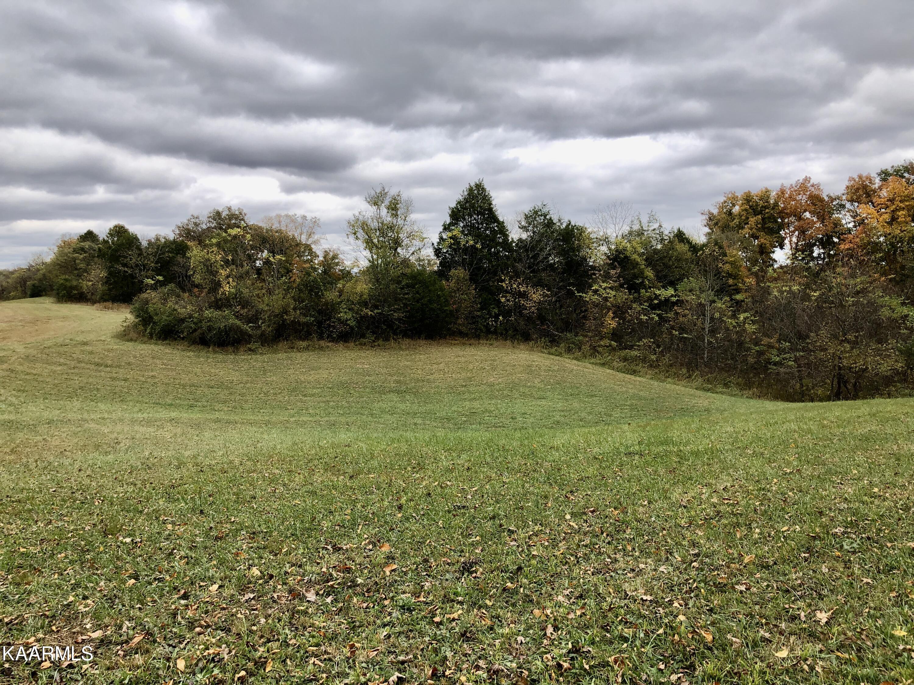 1900 Thomastown Road Mascot, TN 37806 - Photo 16 of 27 IMG_9754