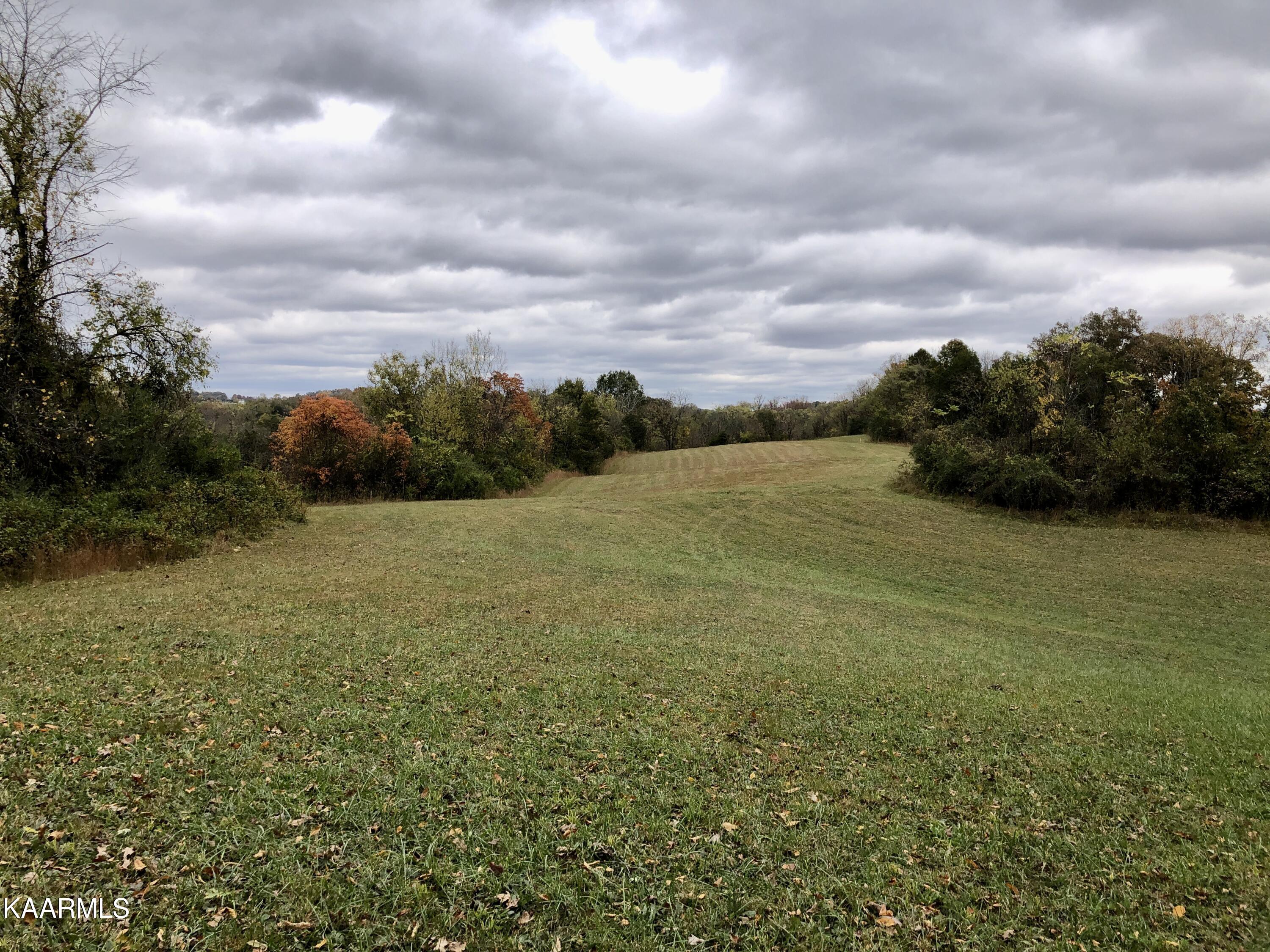 1900 Thomastown Road Mascot, TN 37806 - Photo 17 of 27 IMG_9755