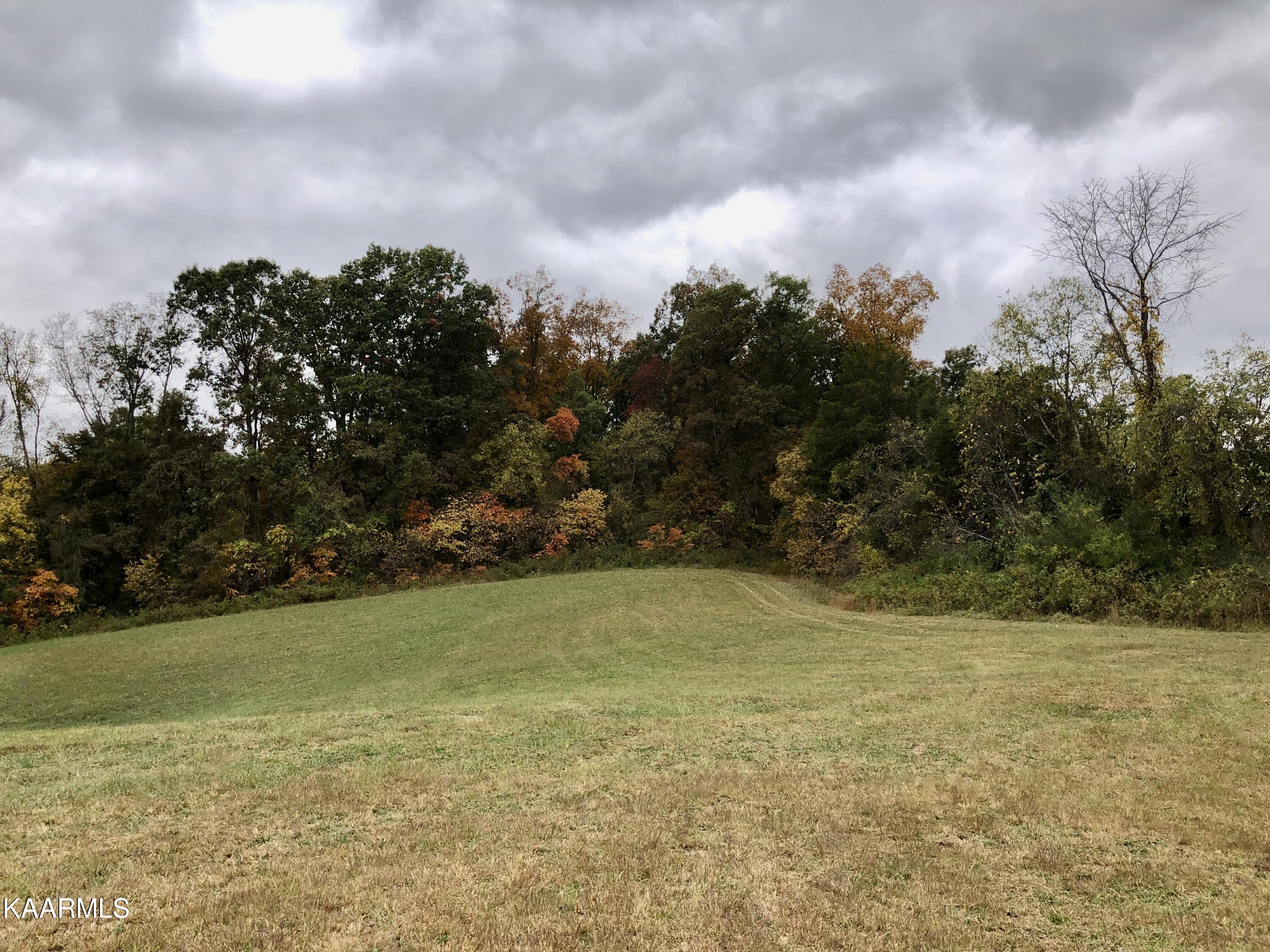 1900 Thomastown Road Mascot, TN 37806 - Photo 18 of 27 IMG_9756