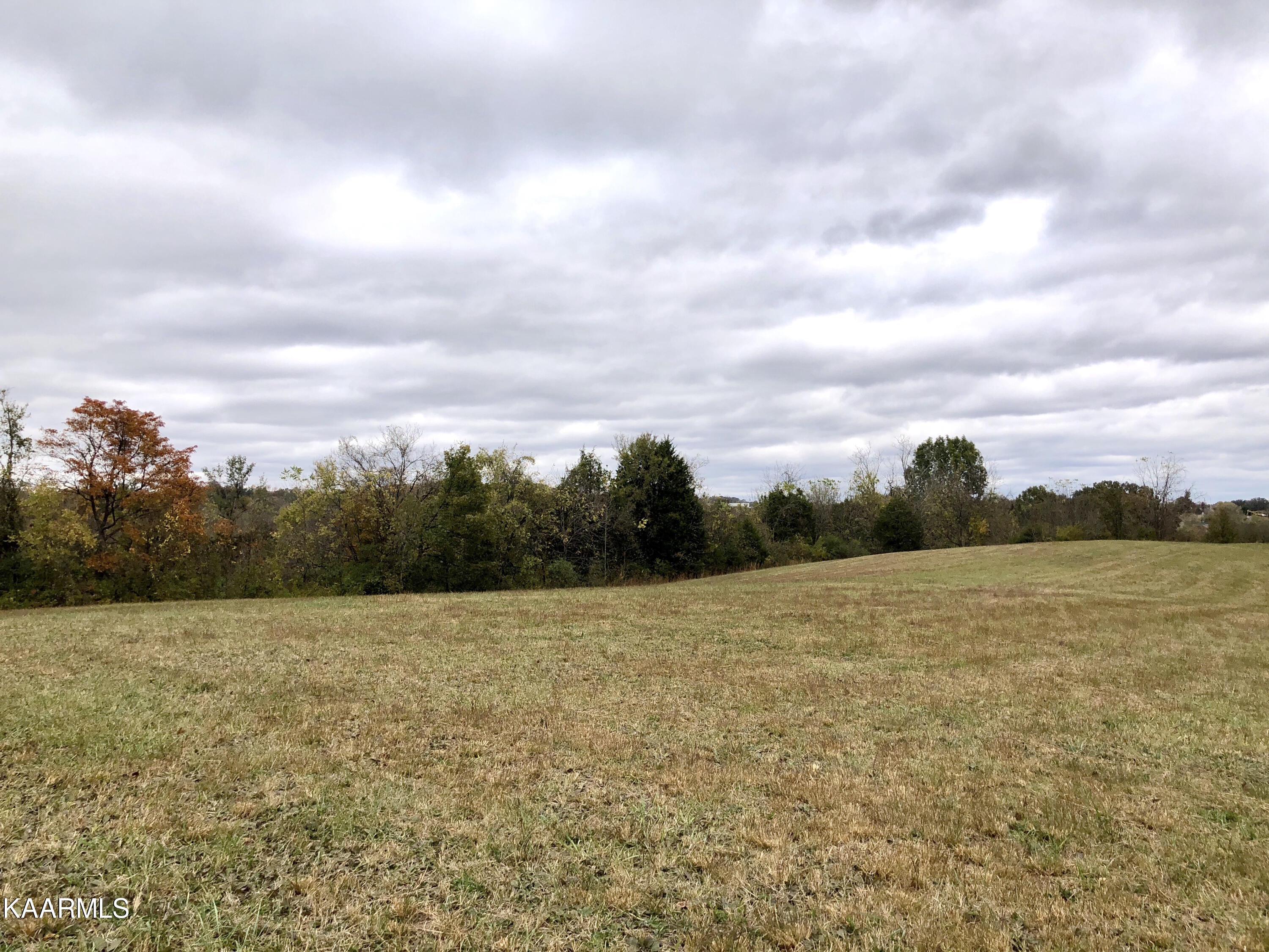 1900 Thomastown Road Mascot, TN 37806 - Photo 20 of 27 IMG_9758