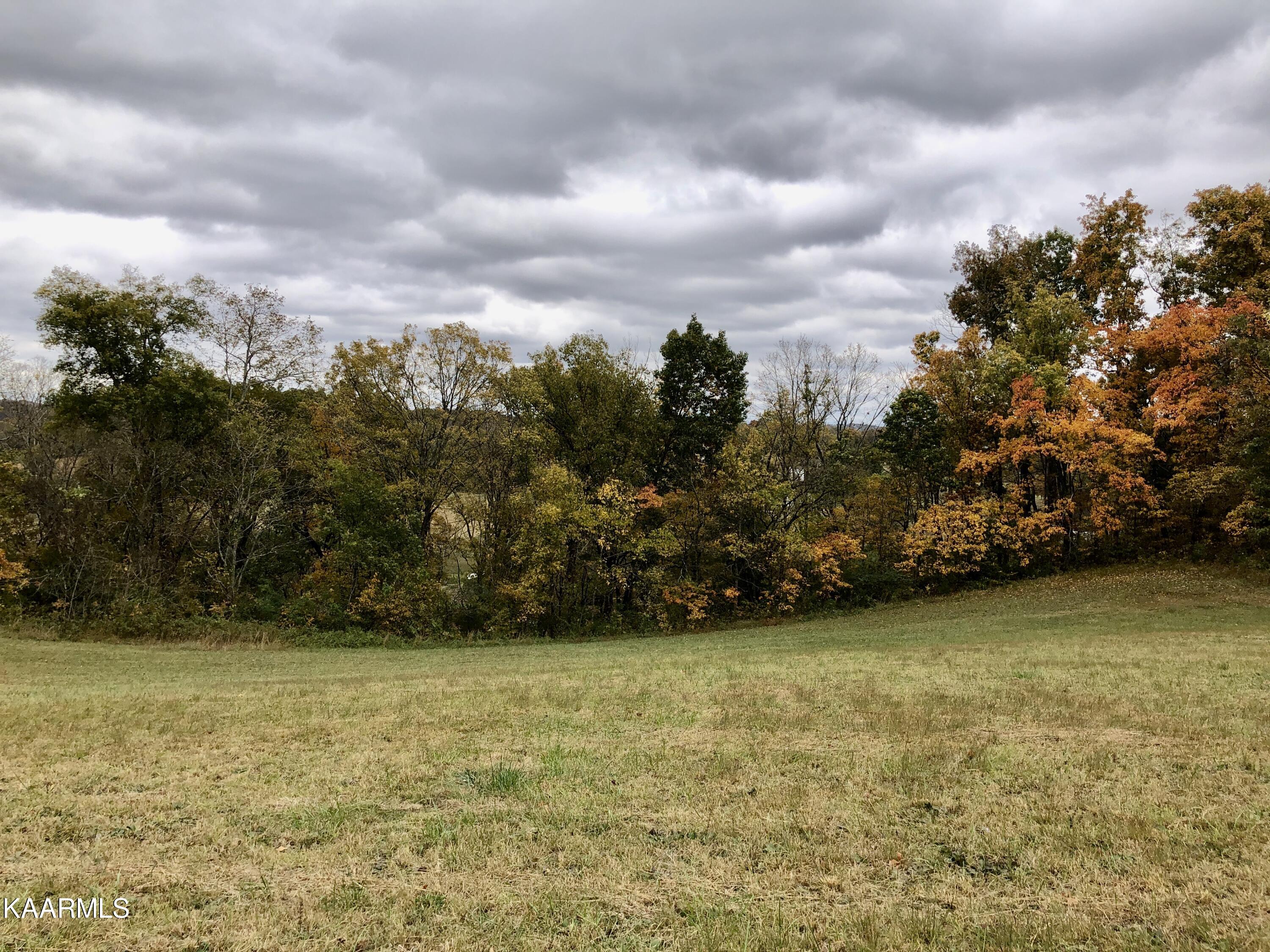 1900 Thomastown Road Mascot, TN 37806 - Photo 21 of 27 IMG_9759