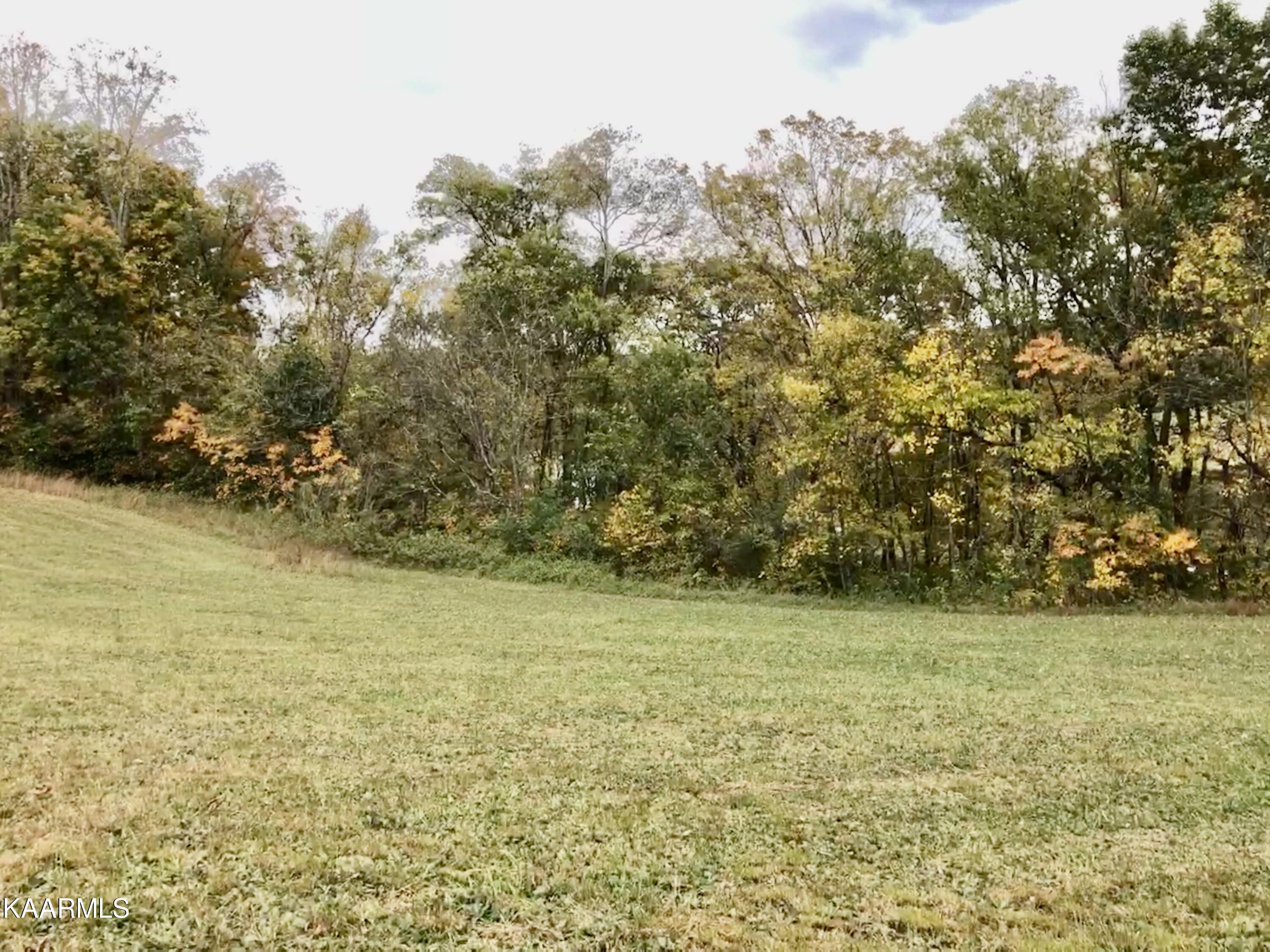 1900 Thomastown Road Mascot, TN 37806 - Photo 22 of 27 IMG_9760