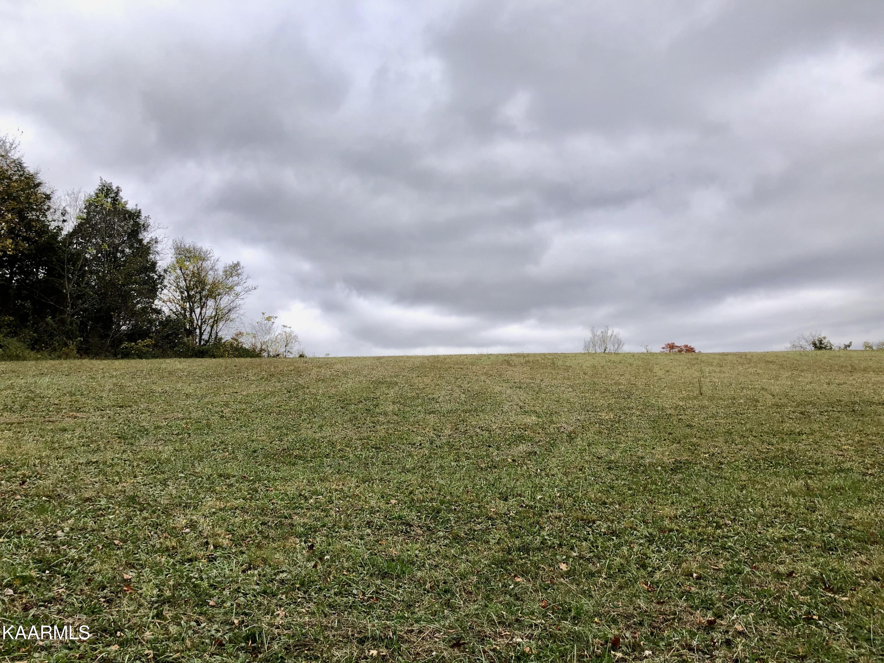 1900 Thomastown Road Mascot, TN 37806 - Photo 23 of 27 IMG_9761