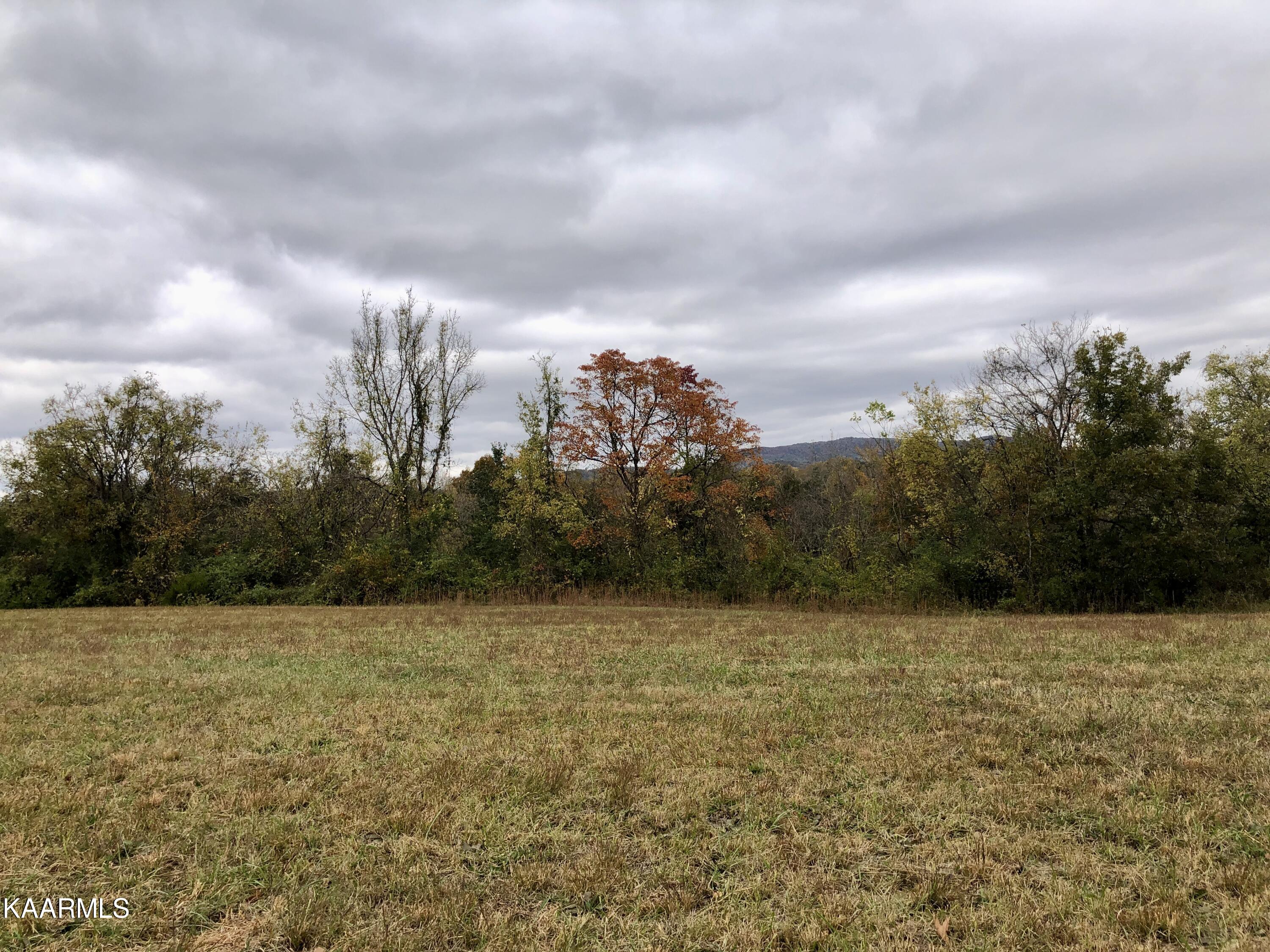 1900 Thomastown Road Mascot, TN 37806 - Photo 24 of 27 IMG_9762