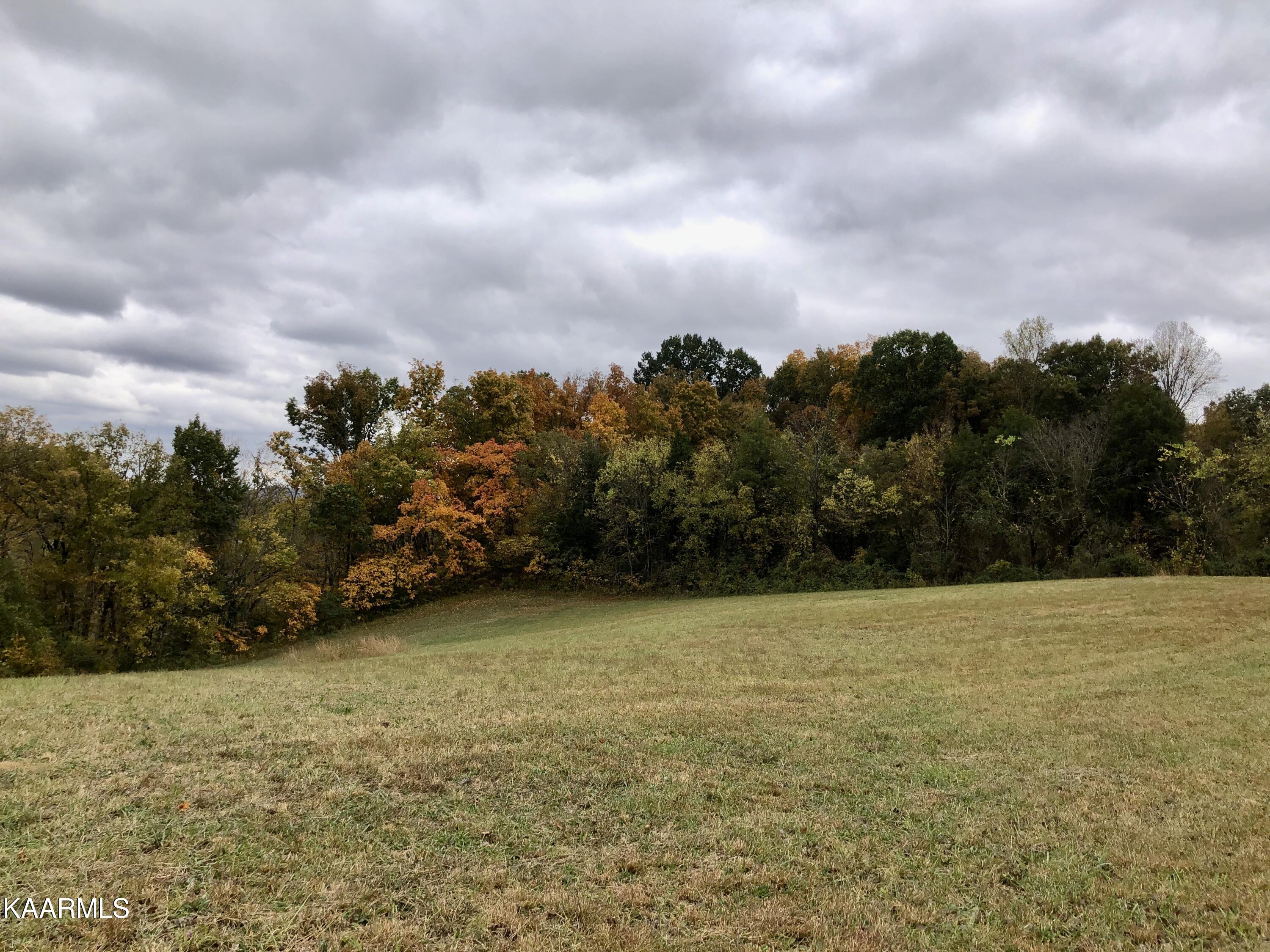 1900 Thomastown Road Mascot, TN 37806 - Photo 25 of 27 IMG_9764