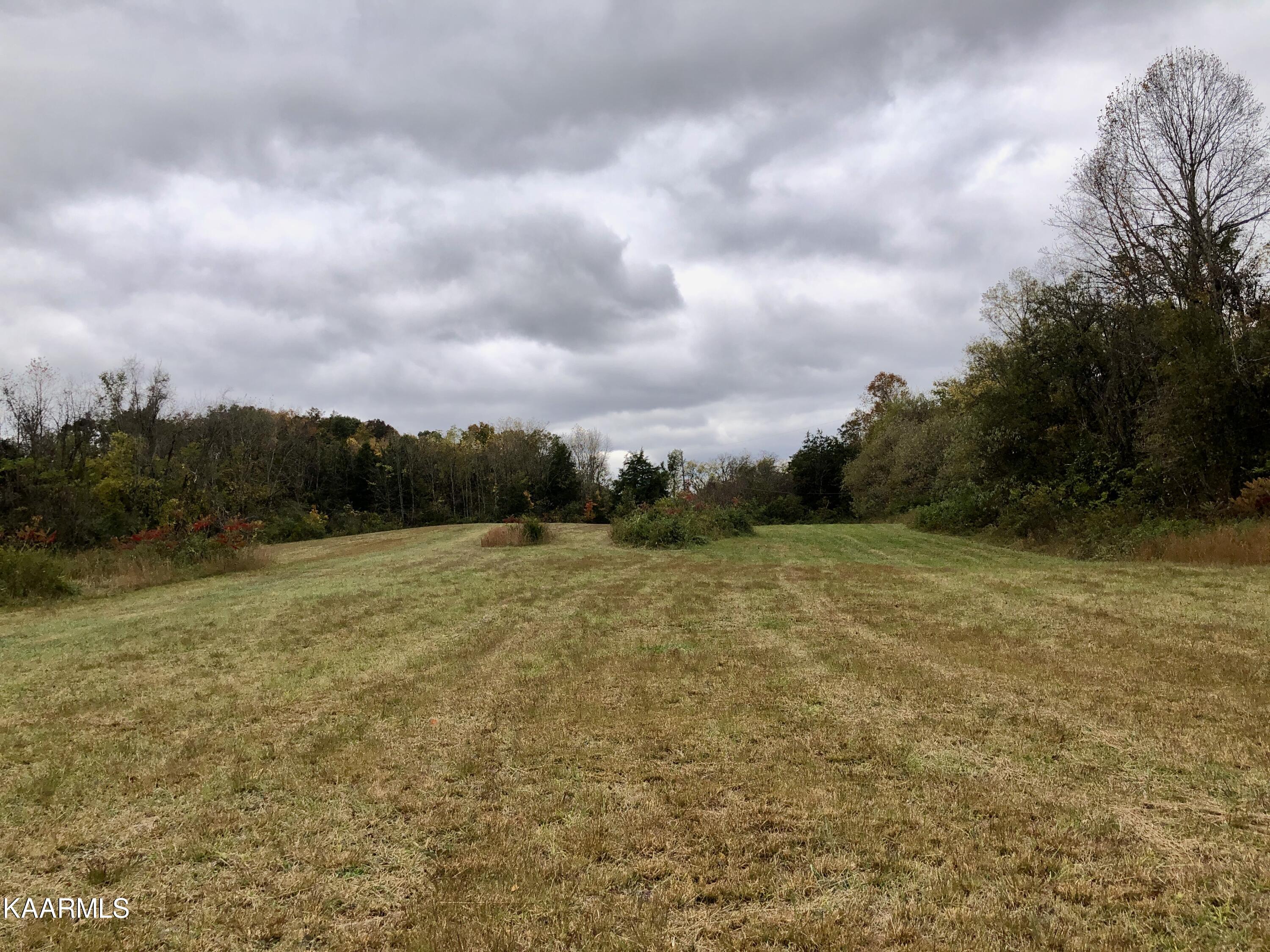 1900 Thomastown Road Mascot, TN 37806 - Photo 10 of 27 IMG_9747