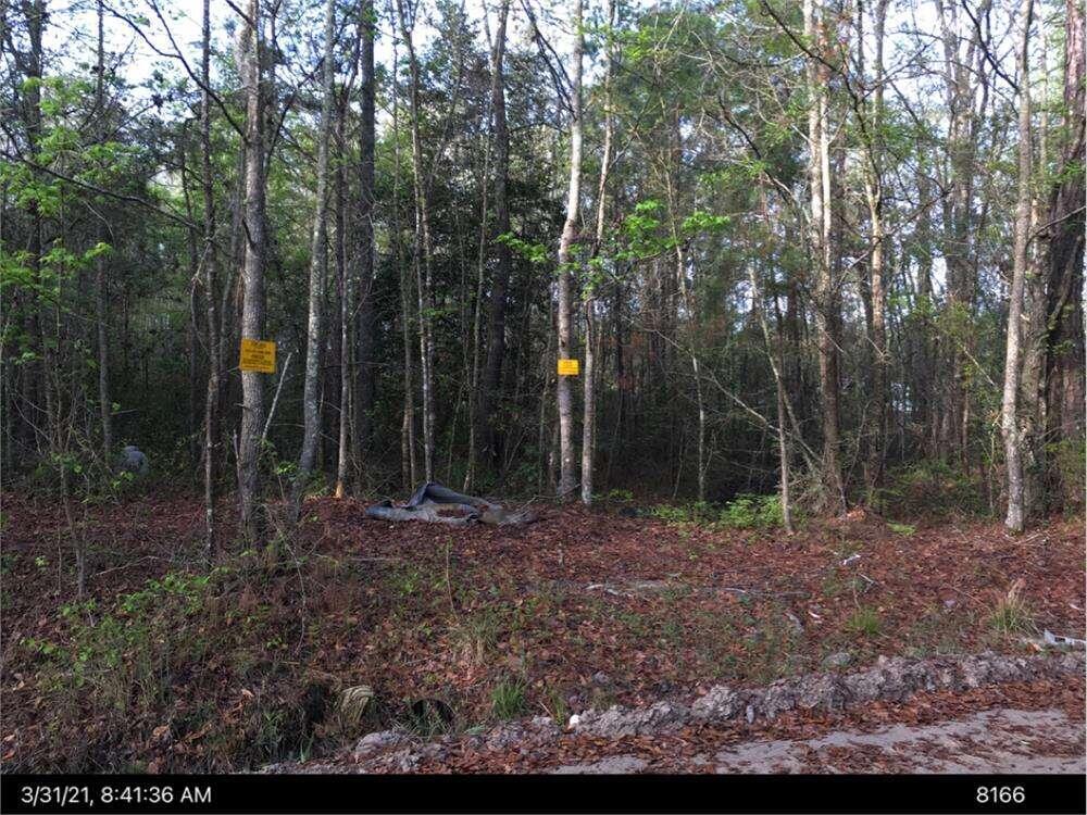 Lot 27 B Eulonia Lake Estates Road Southwest Townsend, GA 31331 - Photo 2 of 2 a backyard of a house with lots of green space