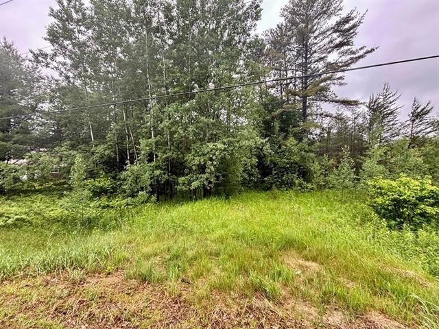 1.03-acres County Rd X Schofield, WI 54476 - Photo 1 of 10