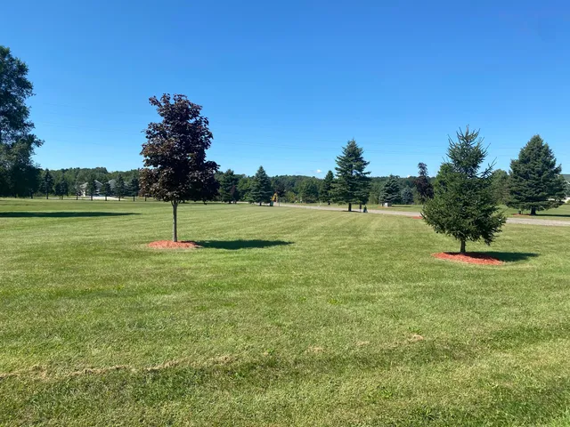 $29,900 | River Bend Drive, Unit 10, Concord, MI 49237