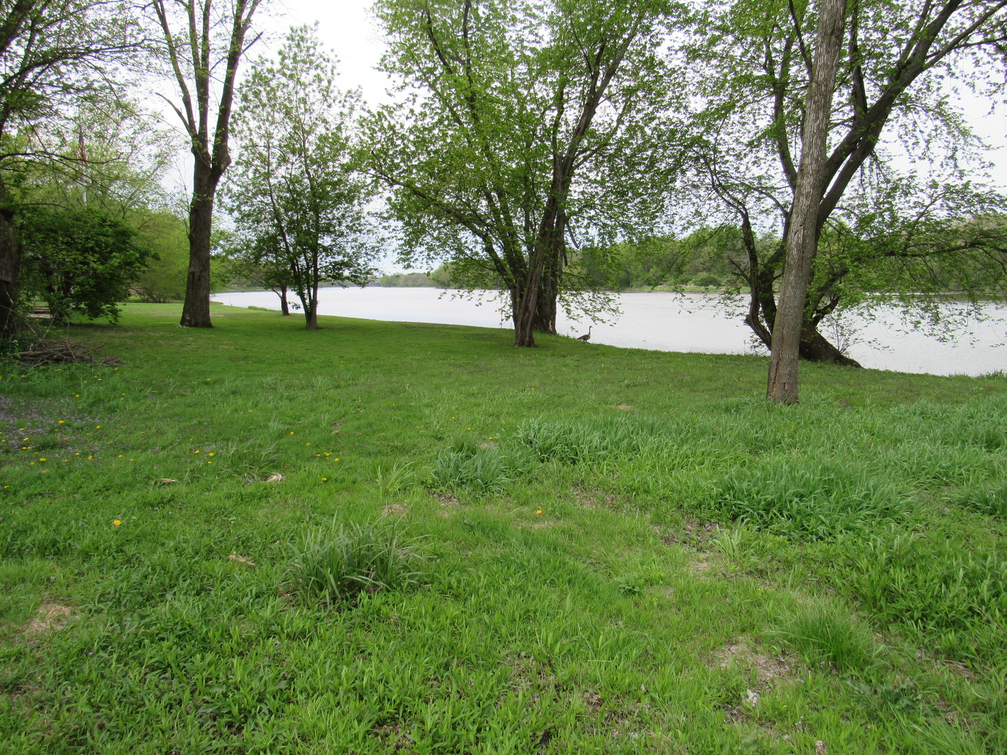 Lot 1 Widows Road Wilmington, IL 60481 - Photo 1 of 5 a view of green field with trees